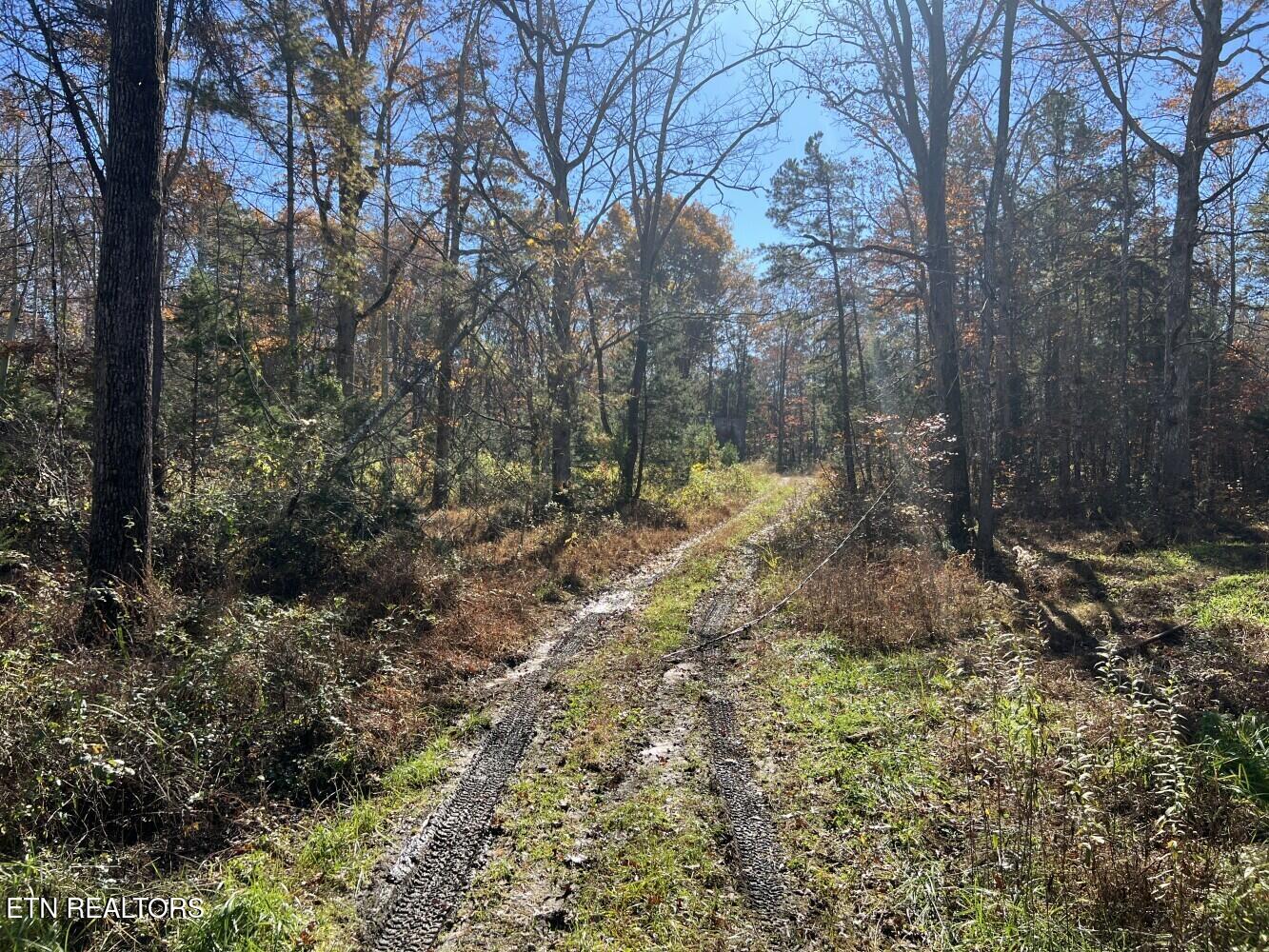 523 Honey Creek Loop Road Allardt TN 38504