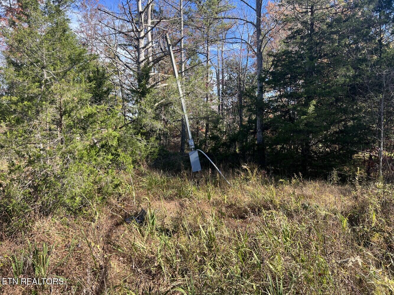 523 Honey Creek Loop Road Allardt TN 38504