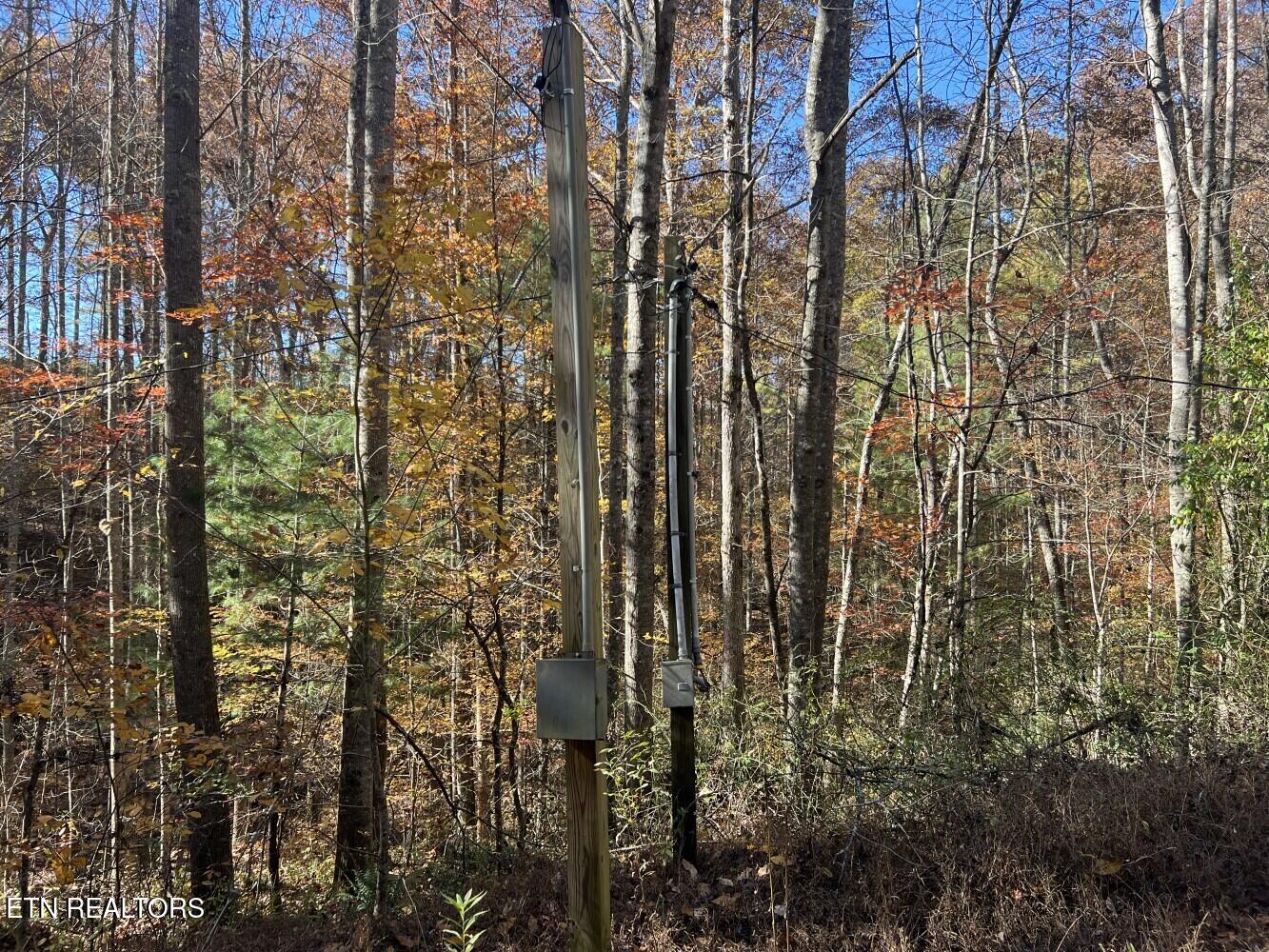 523 Honey Creek Loop Road Allardt TN 38504