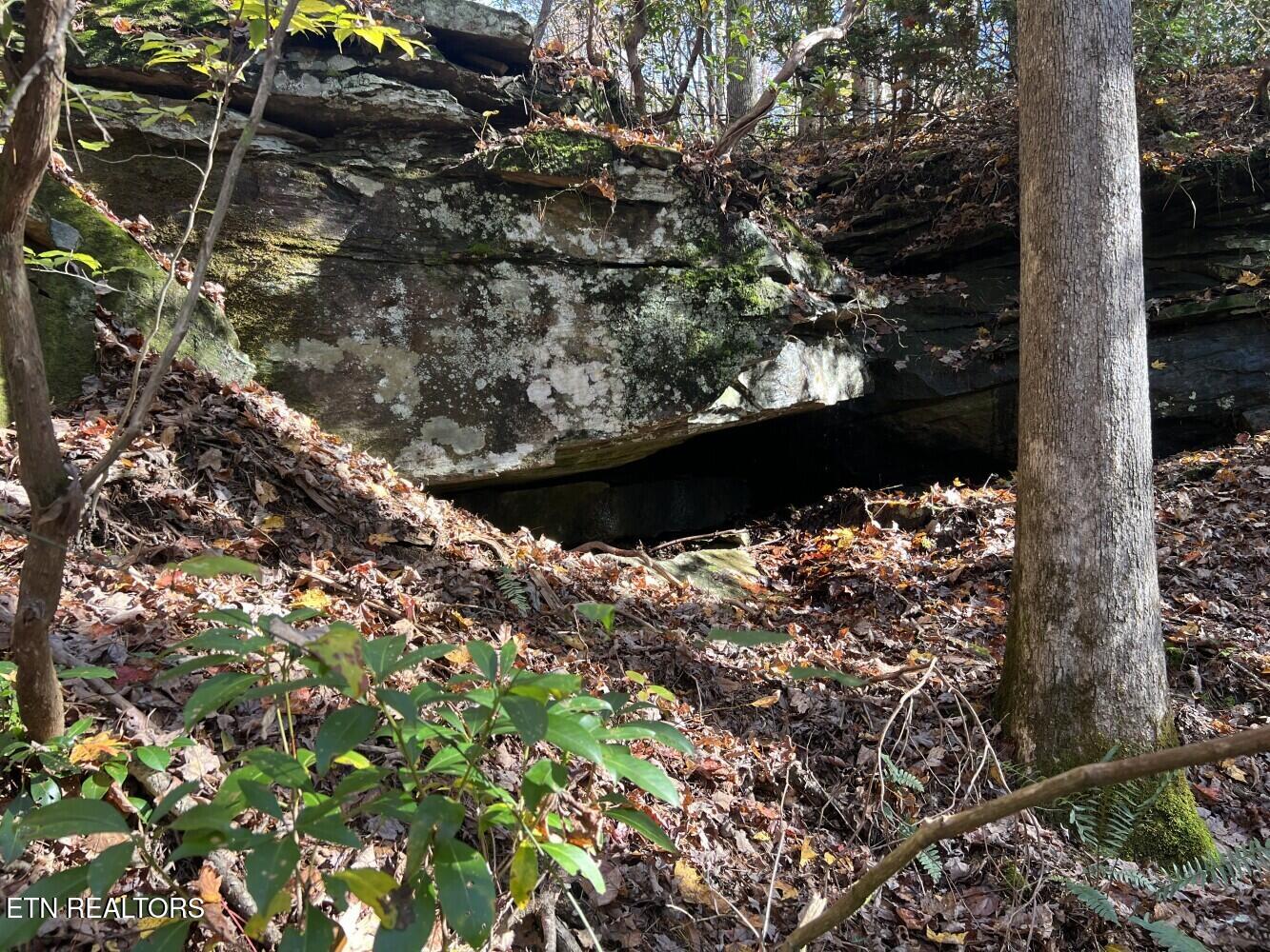 523 Honey Creek Loop Road Allardt TN 38504