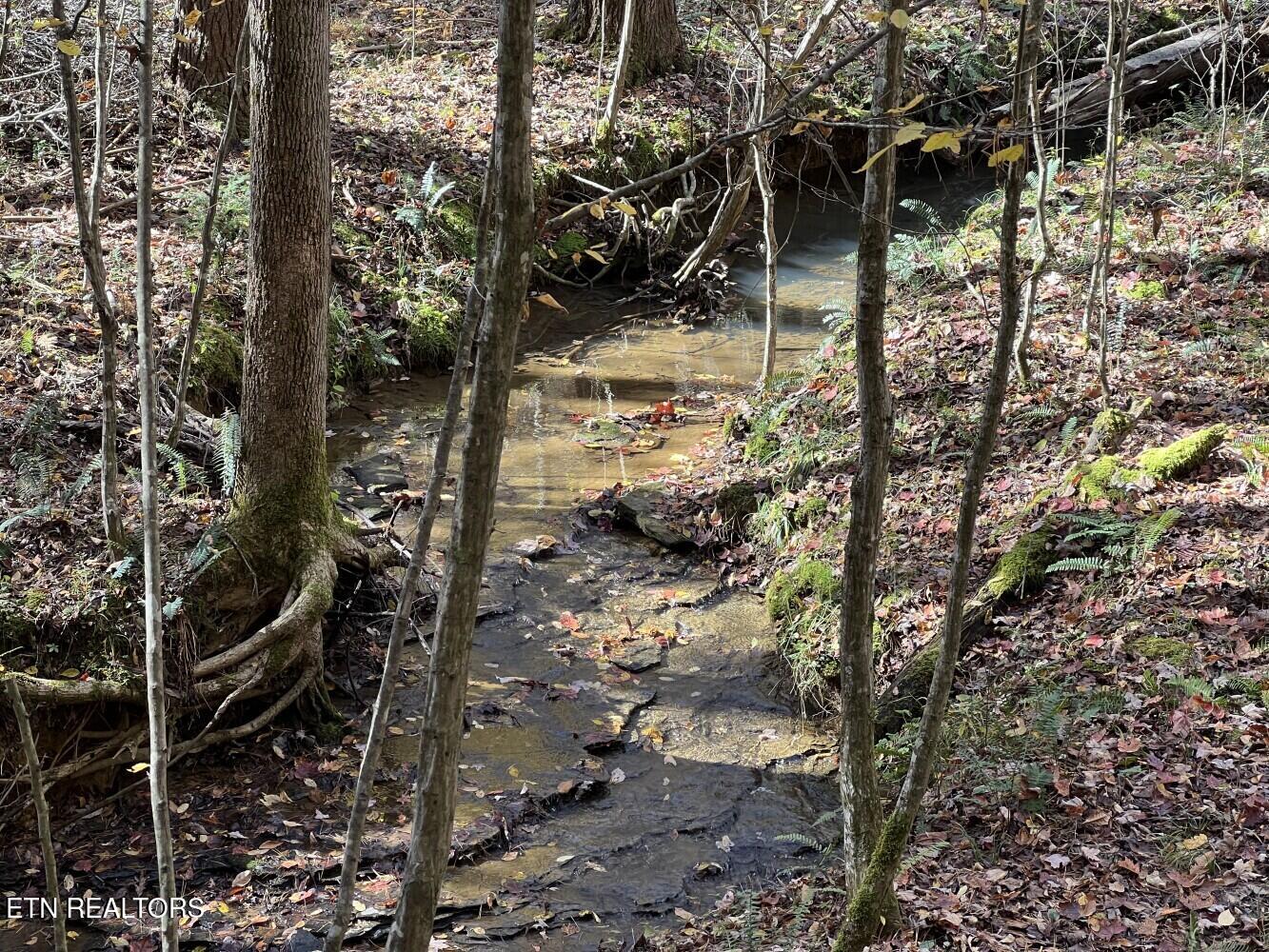 523 Honey Creek Loop Road Allardt TN 38504