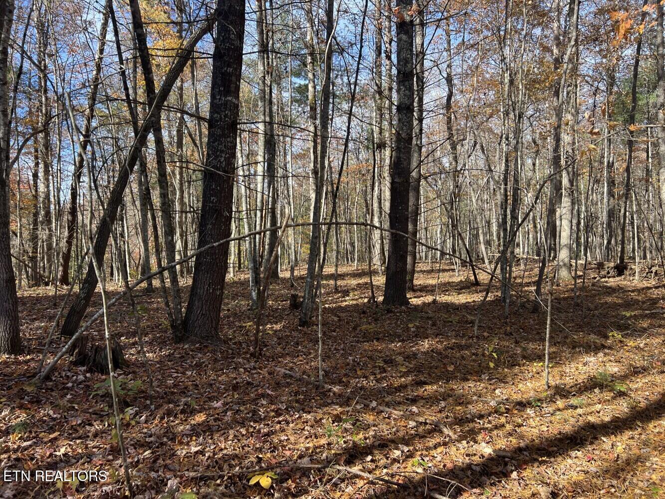 523 Honey Creek Loop Road Allardt TN 38504
