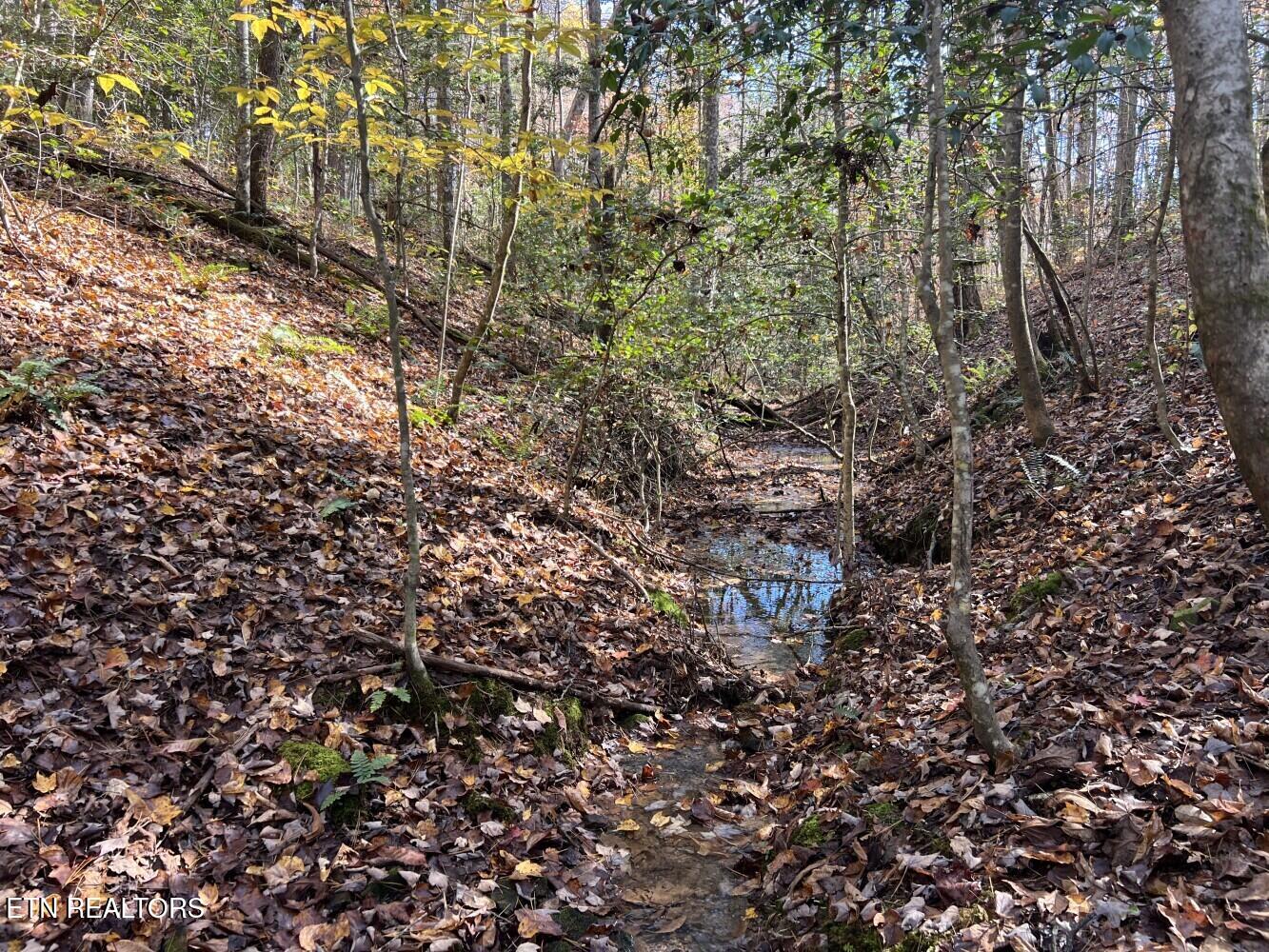 523 Honey Creek Loop Road Allardt TN 38504