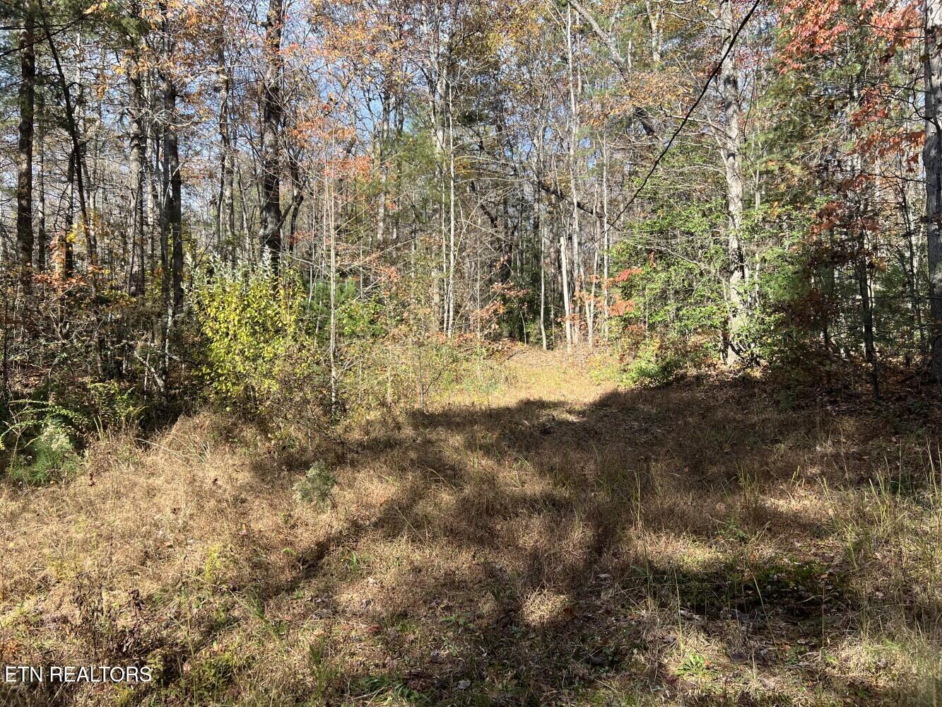 523 Honey Creek Loop Road Allardt TN 38504
