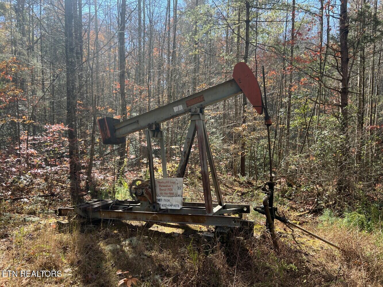 523 Honey Creek Loop Road Allardt TN 38504