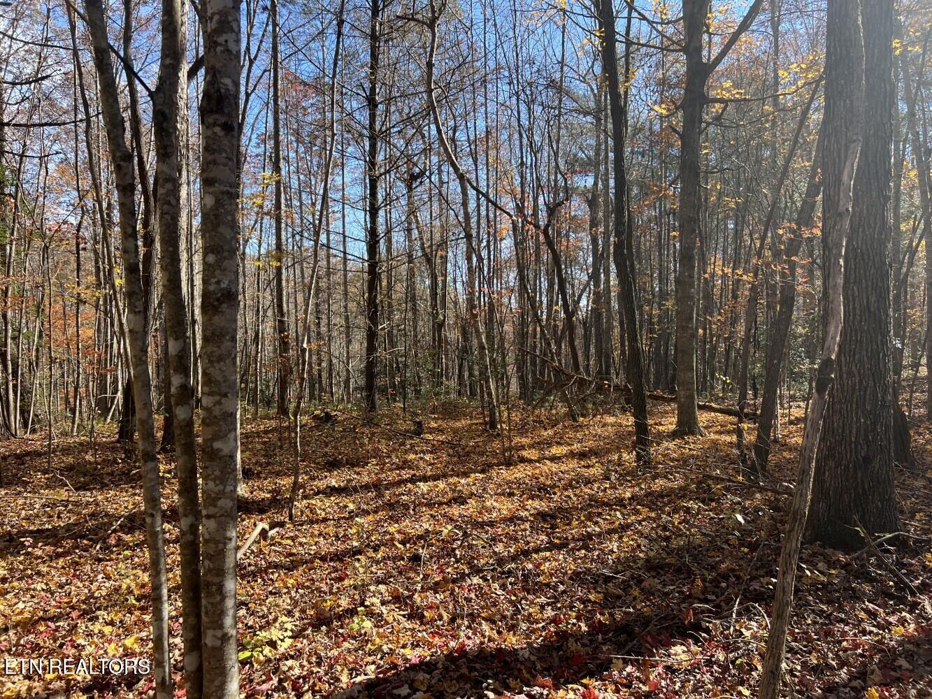 523 Honey Creek Loop Road Allardt TN 38504