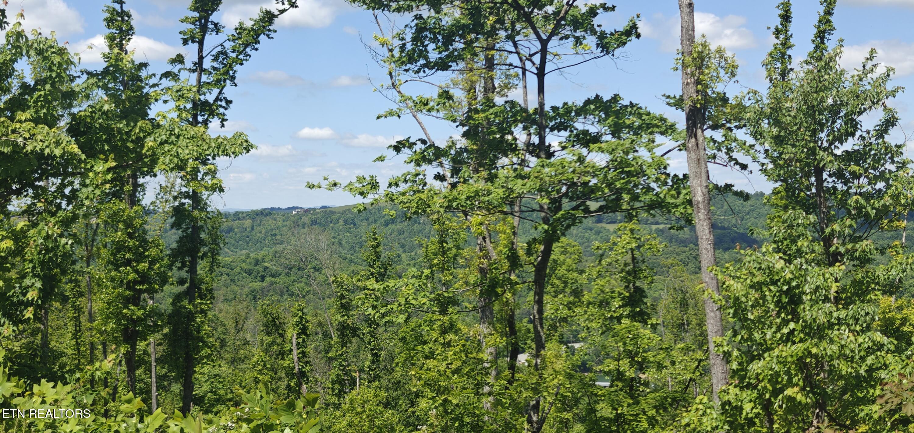 Lake Lane New Tazewell TN 37825
