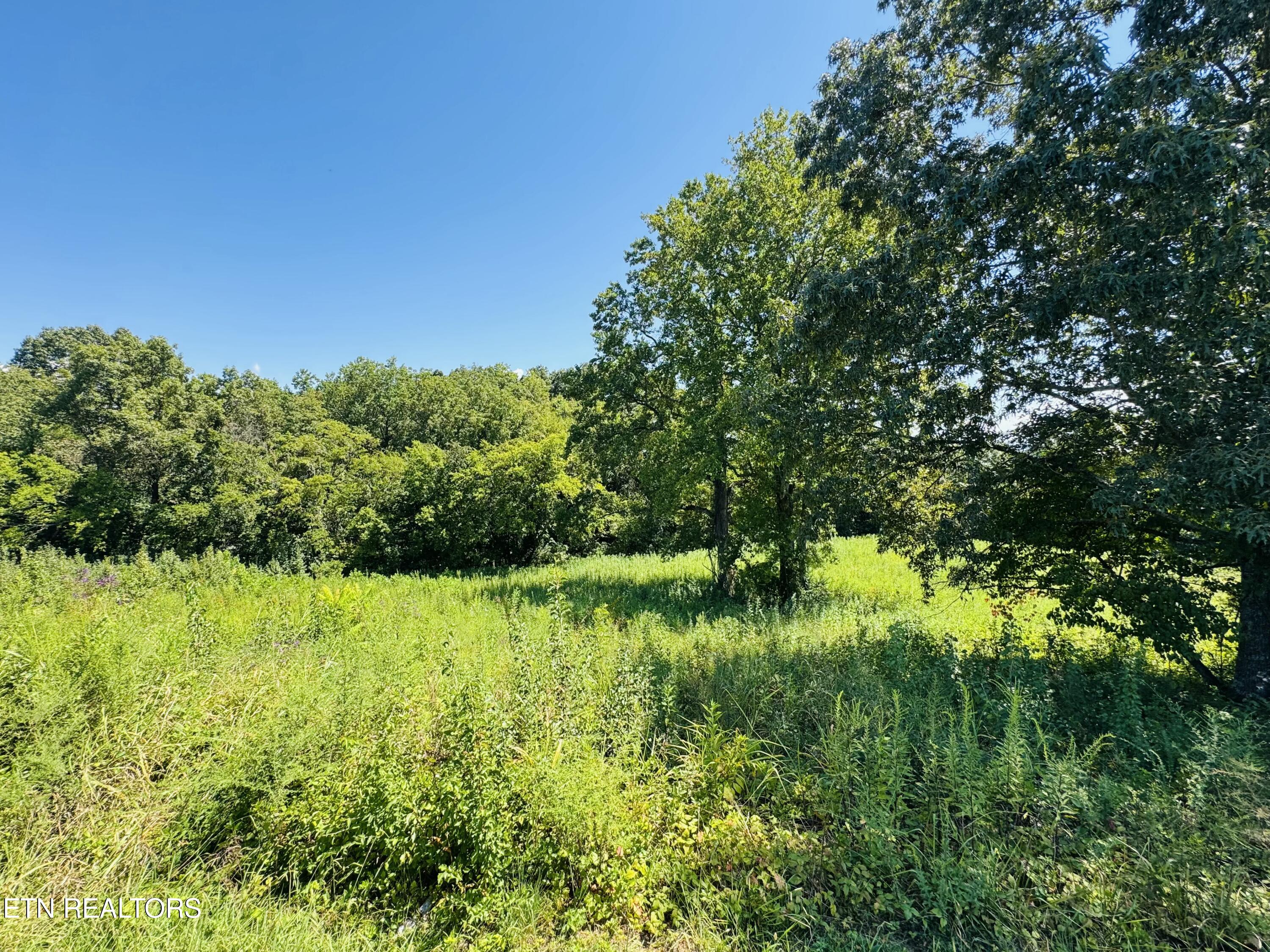 2102 Kings View Loop Seymour TN 37865