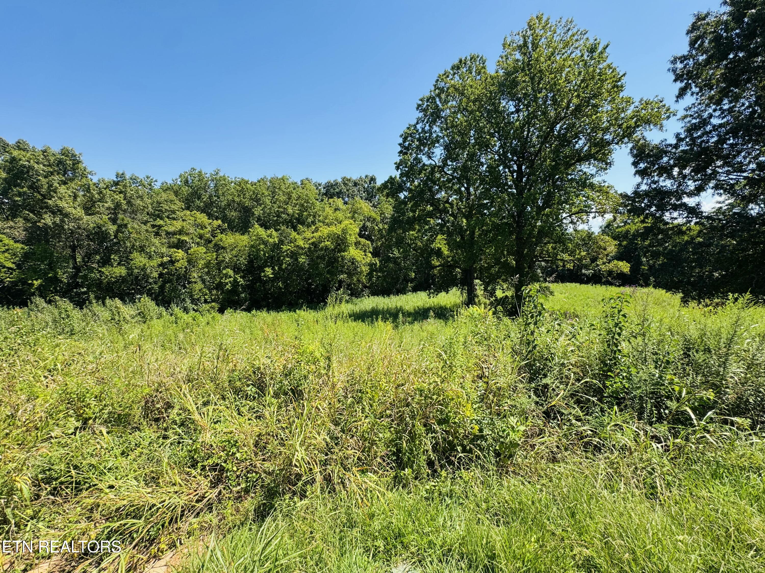 2102 Kings View Loop Seymour TN 37865