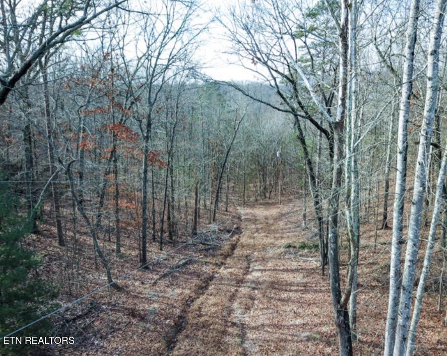 Hall / Tarwater Street Rockwood TN 37854