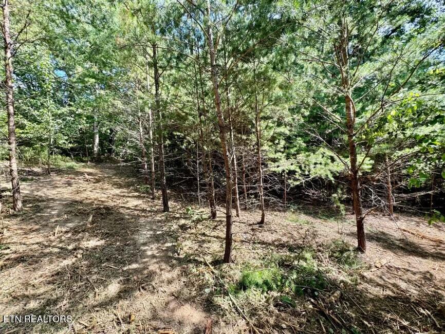 8216 Norris Knoxville TN 37938