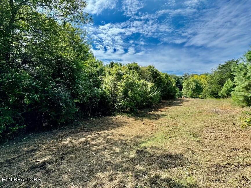 8216 Norris Knoxville TN 37938