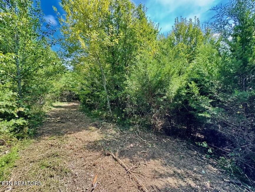 8216 Norris Knoxville TN 37938