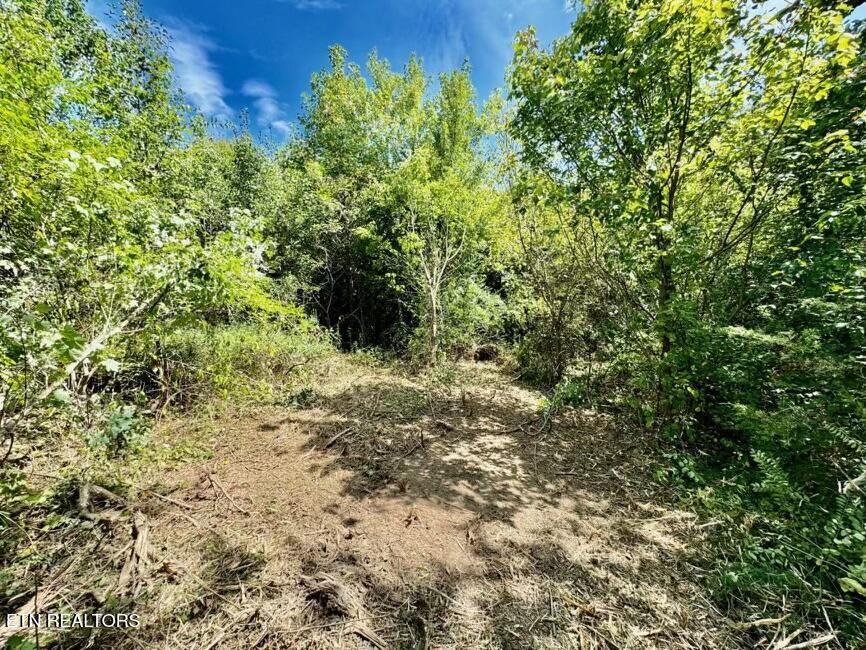 8216 Norris Knoxville TN 37938