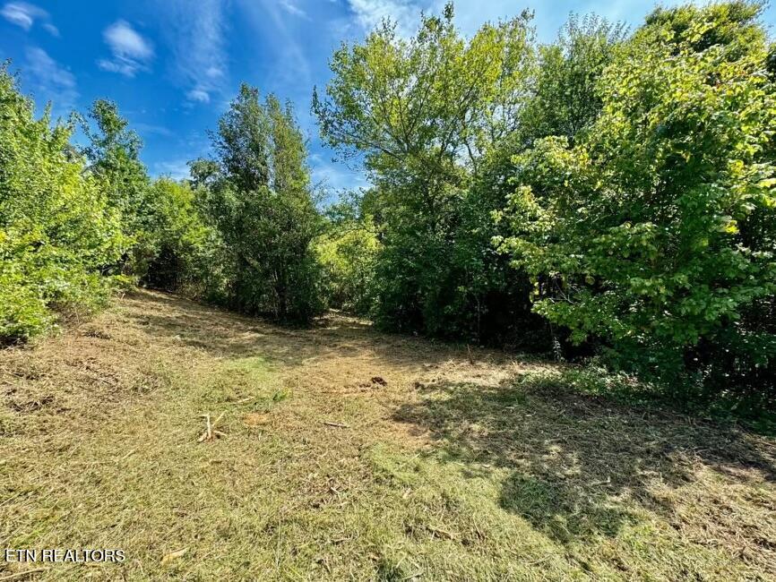 8216 Norris Knoxville TN 37938