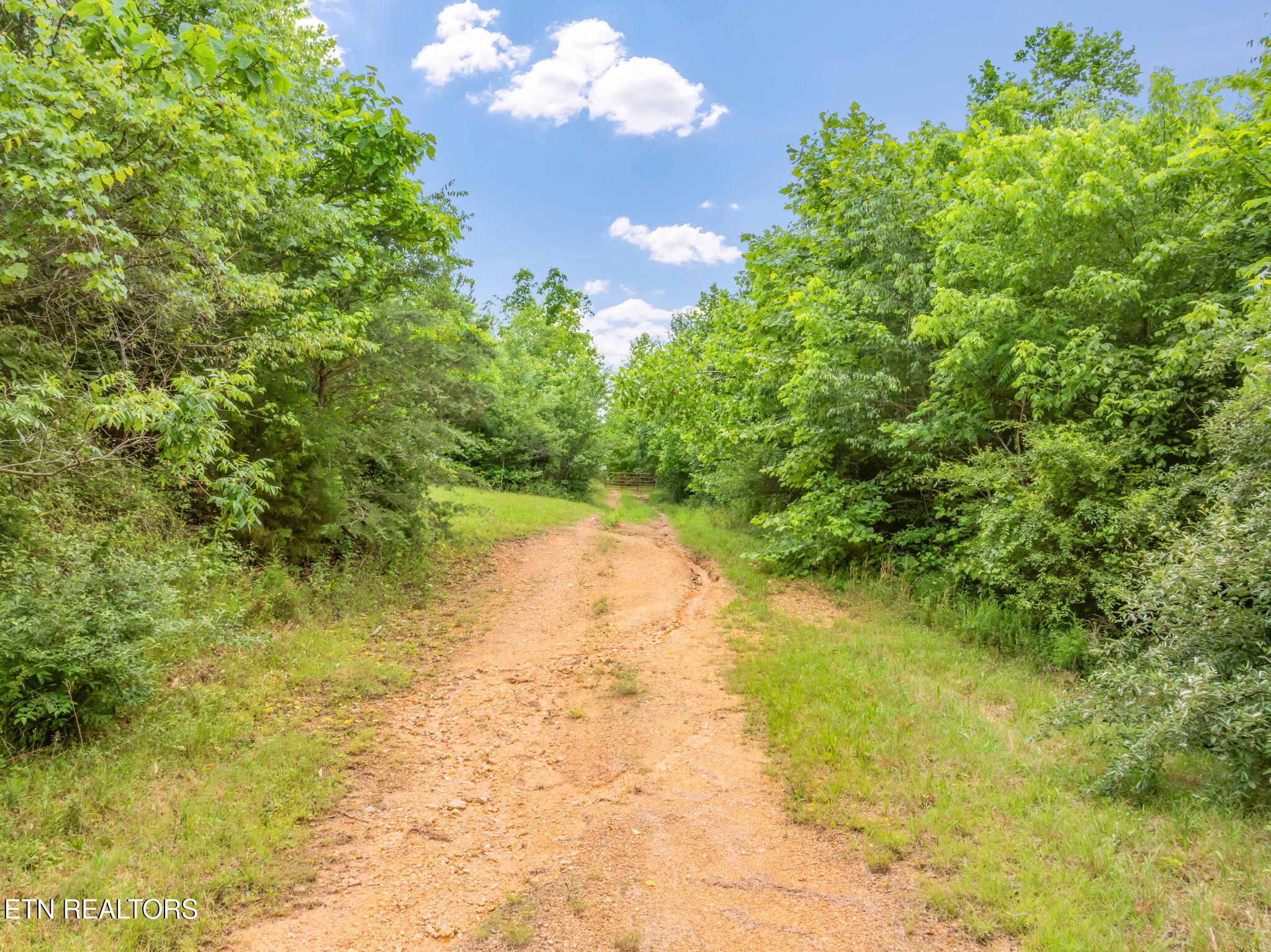 0 Grigsby Hollow Road Kingston TN 37763