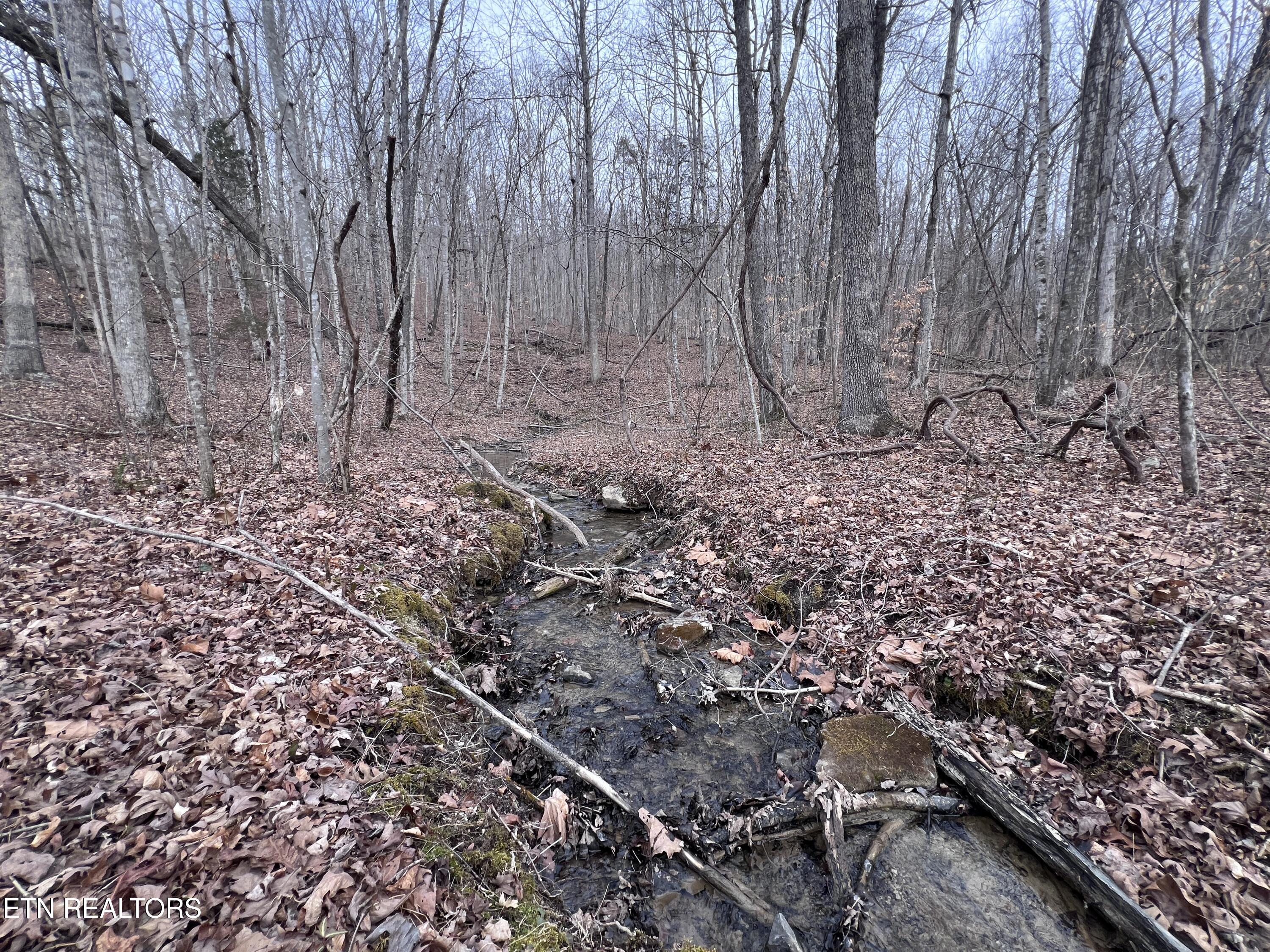 Buffalo Cove Lane Jamestown TN 38556