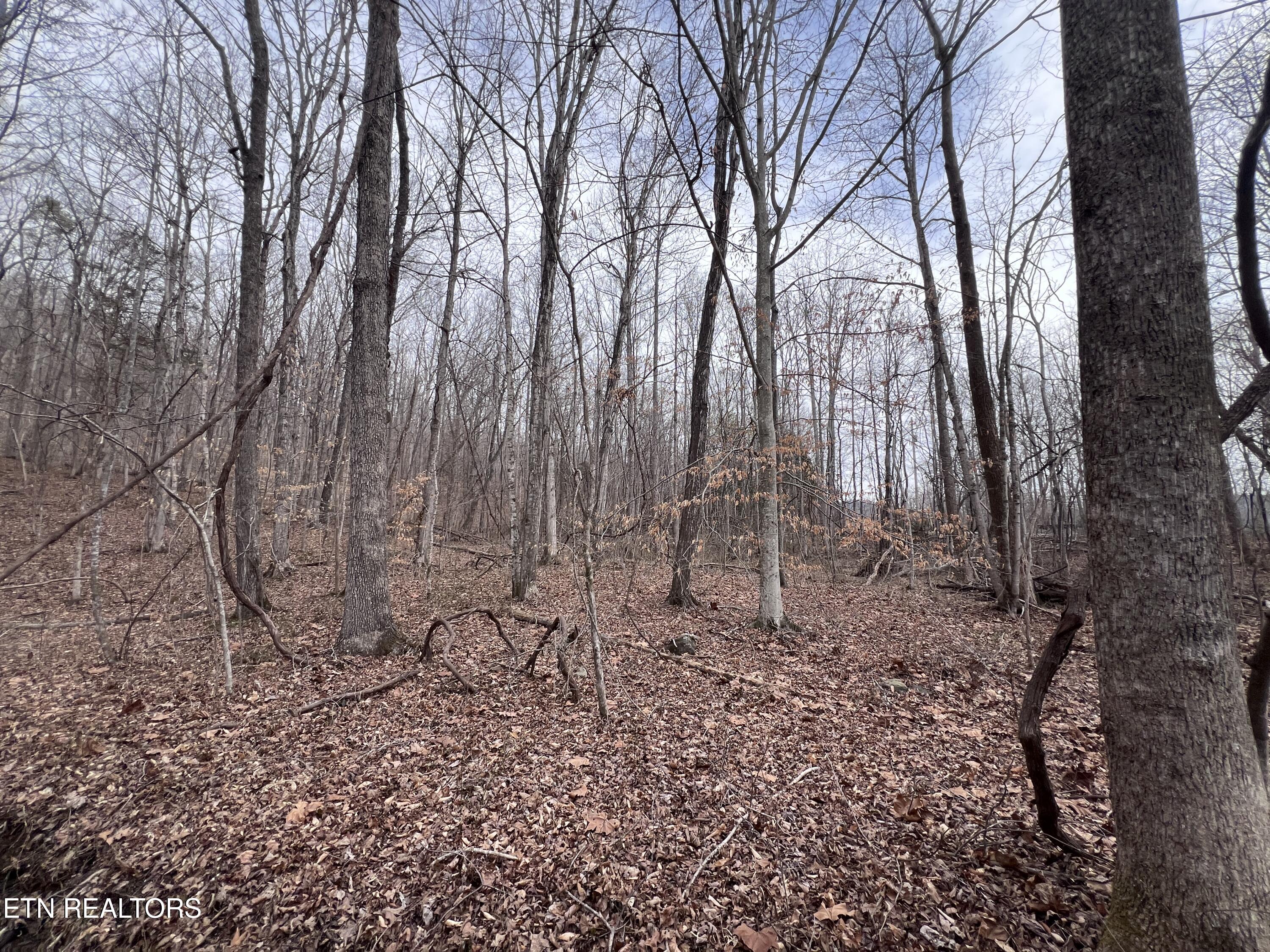 Buffalo Cove Lane Jamestown TN 38556