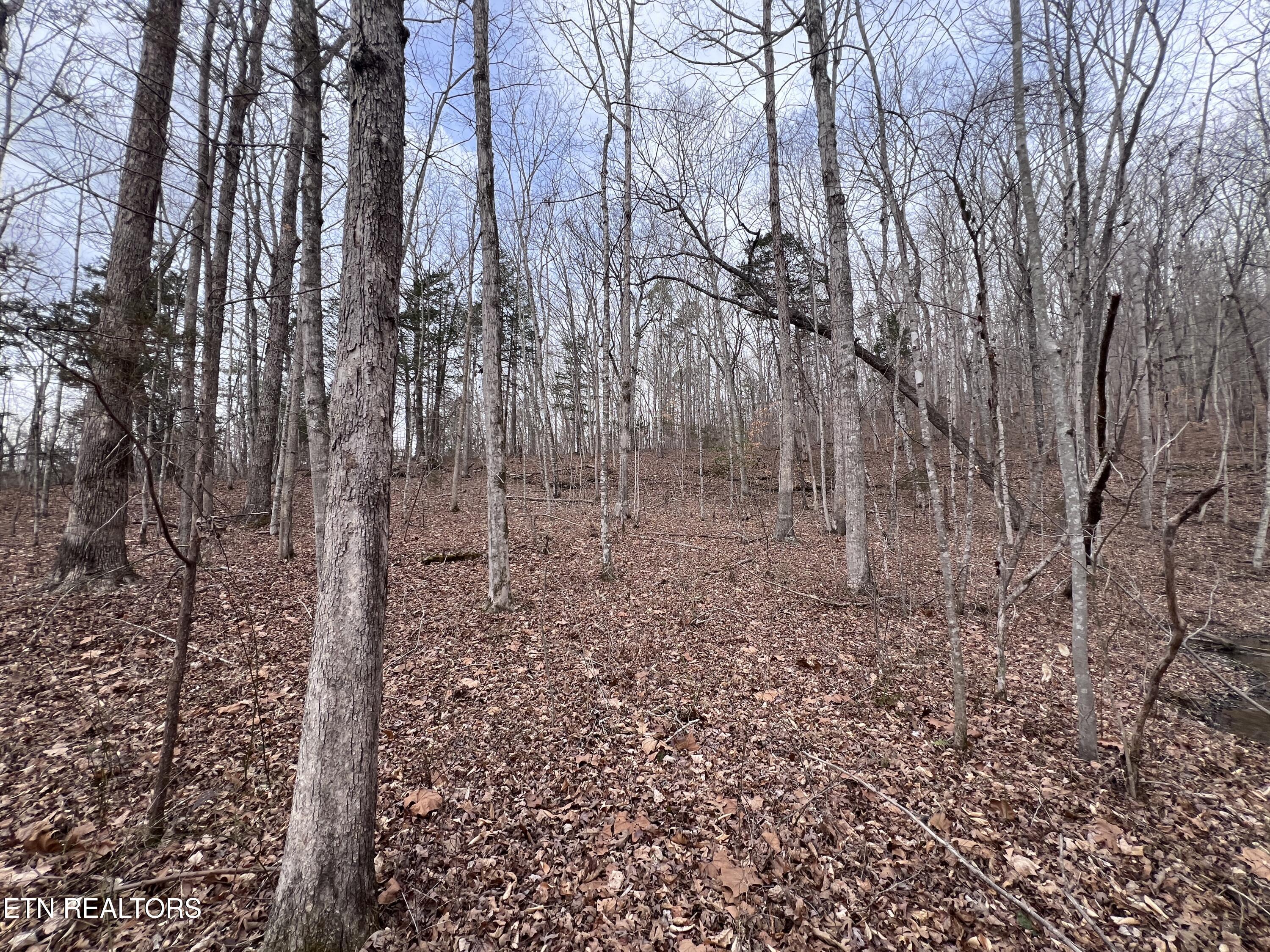 Buffalo Cove Lane Jamestown TN 38556