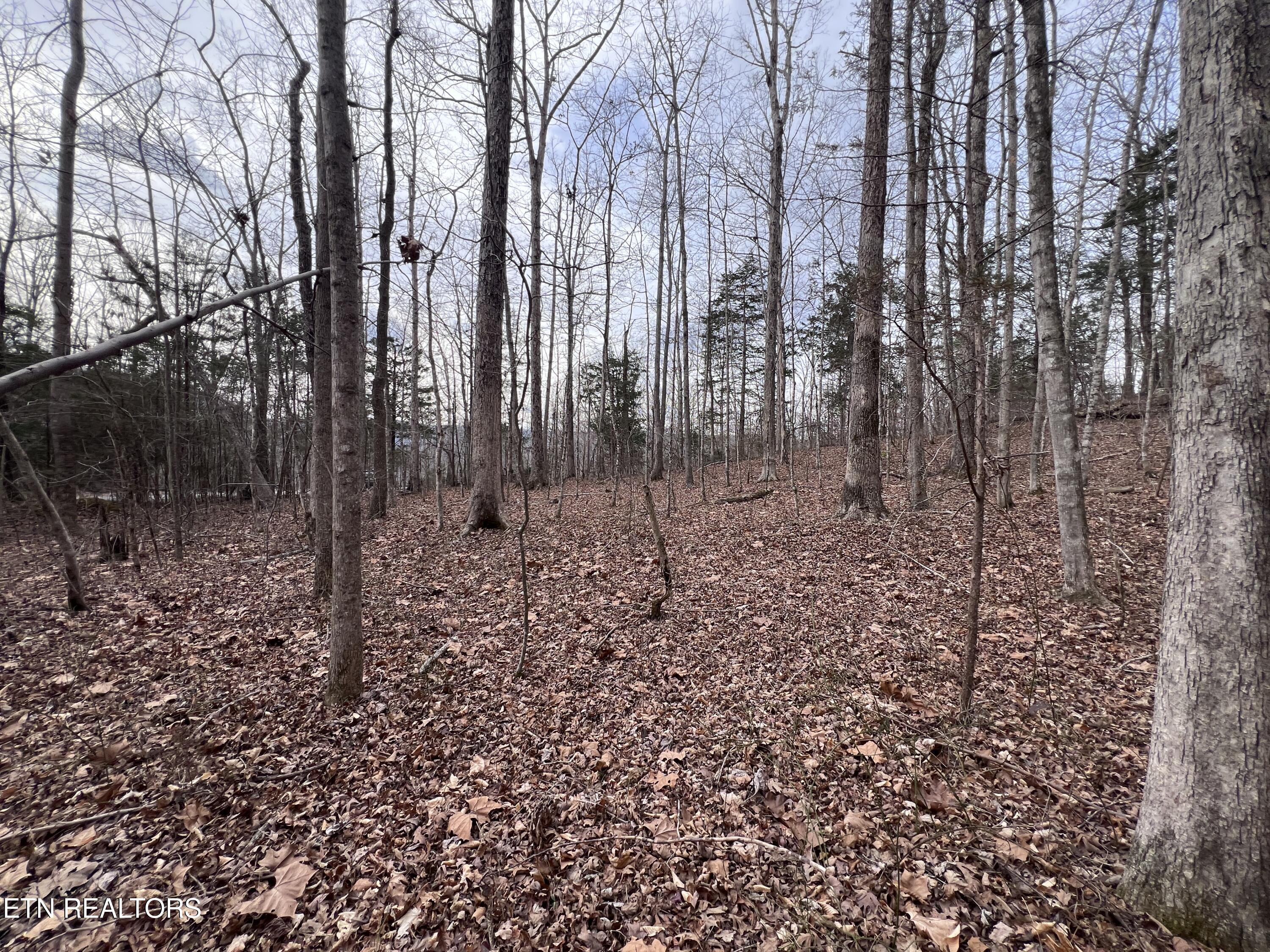 Buffalo Cove Lane Jamestown TN 38556