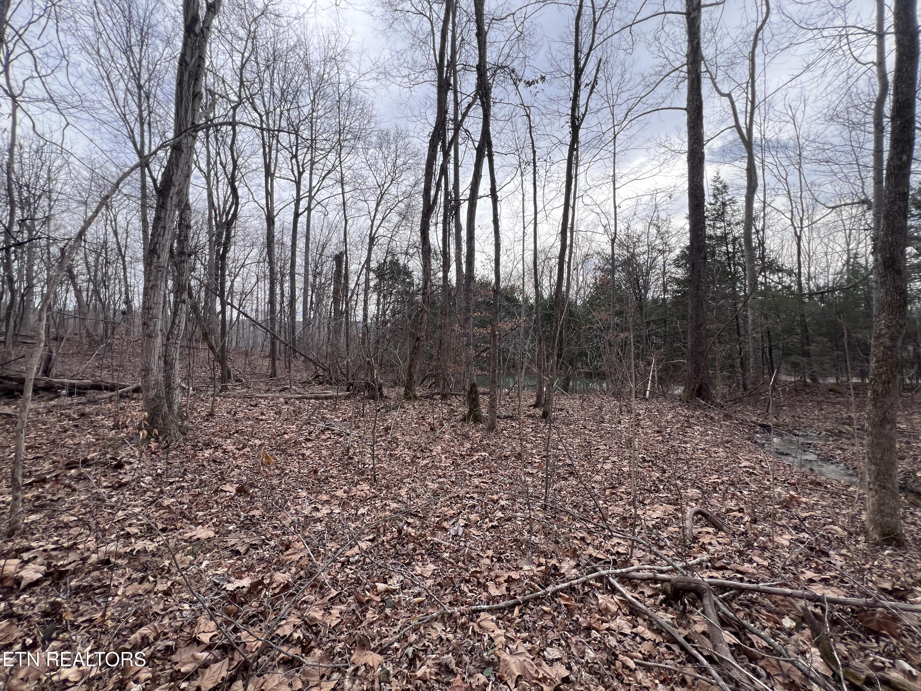 Buffalo Cove Lane Jamestown TN 38556