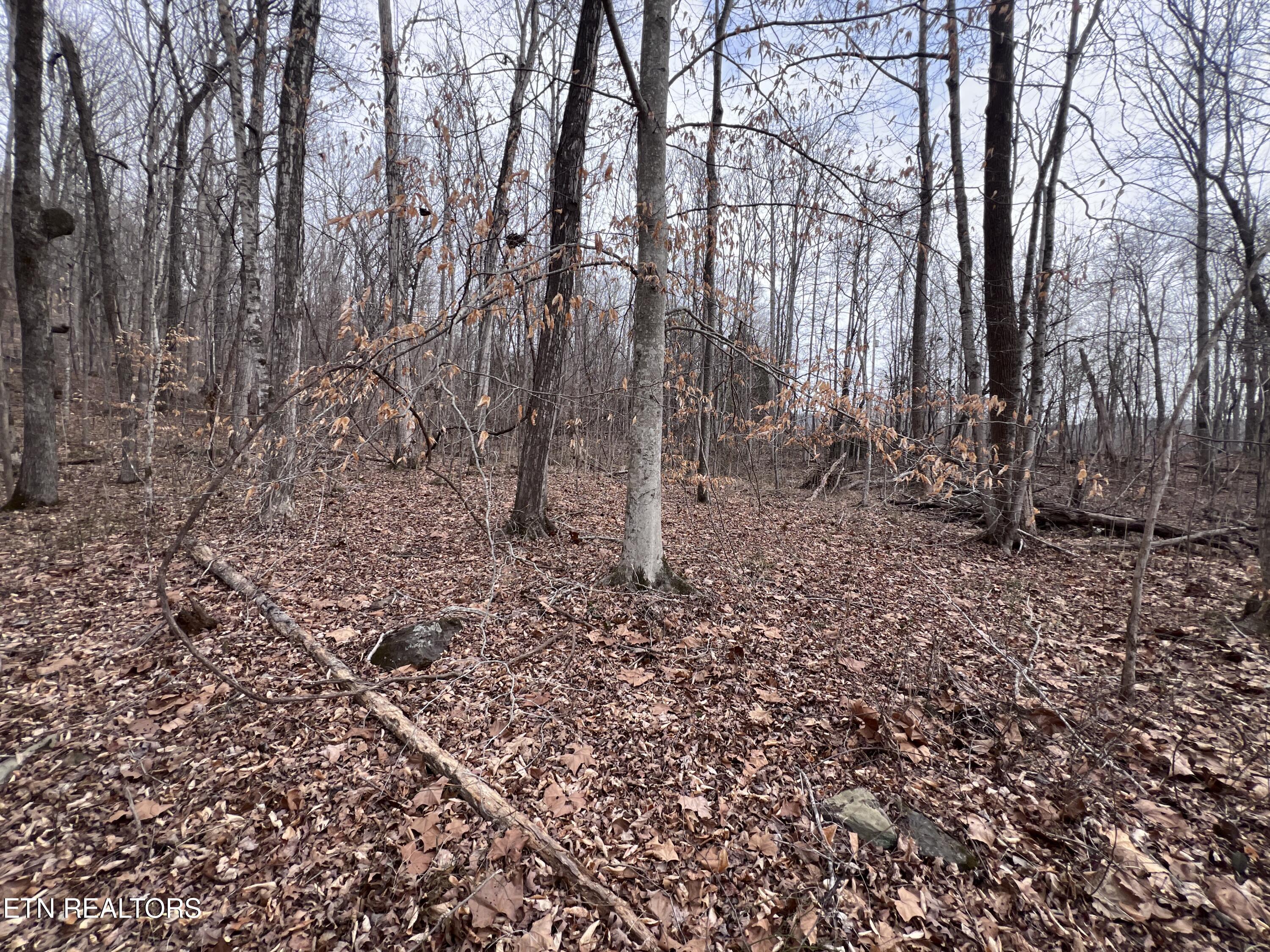 Buffalo Cove Lane Jamestown TN 38556