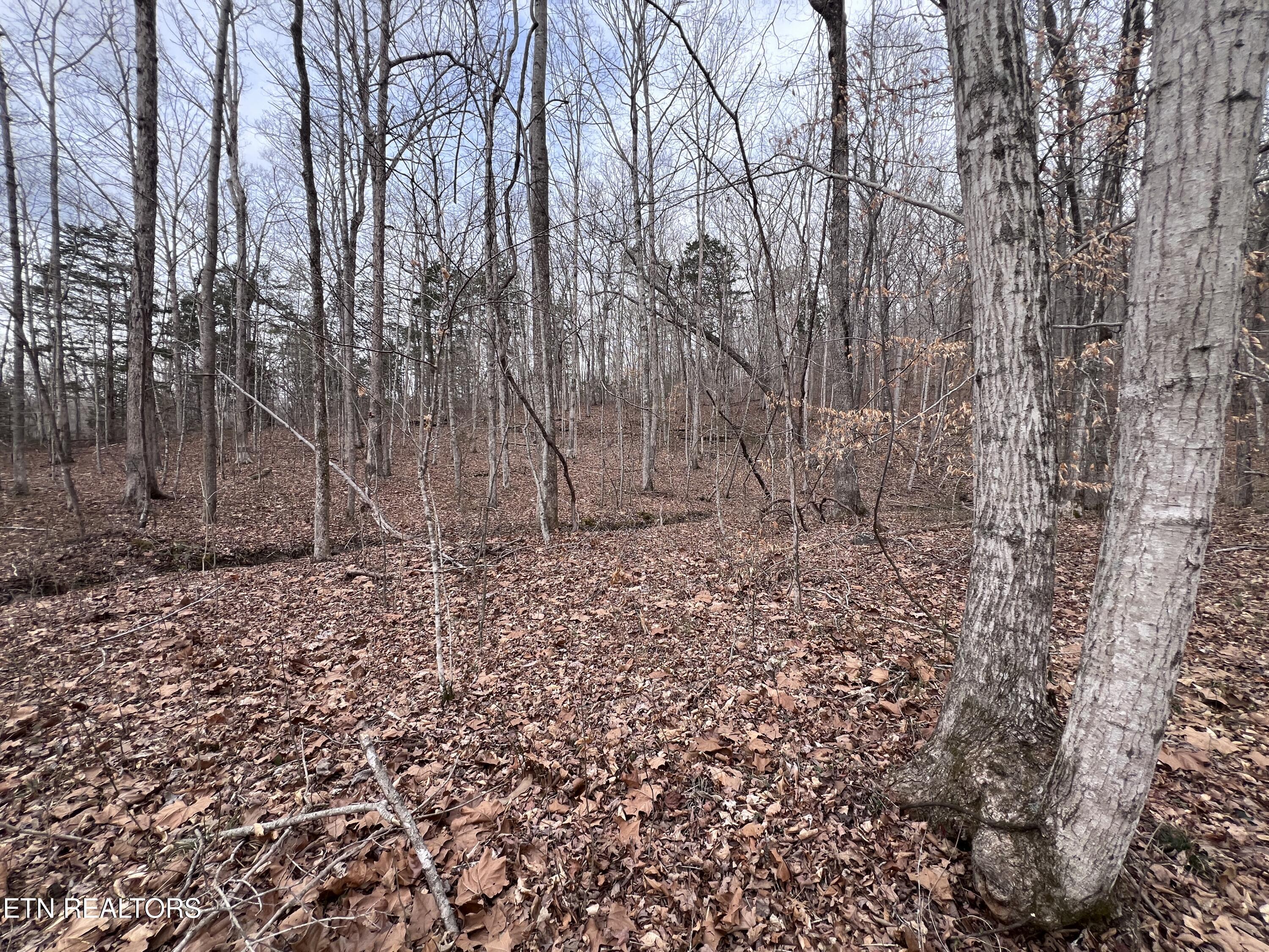 Buffalo Cove Lane Jamestown TN 38556