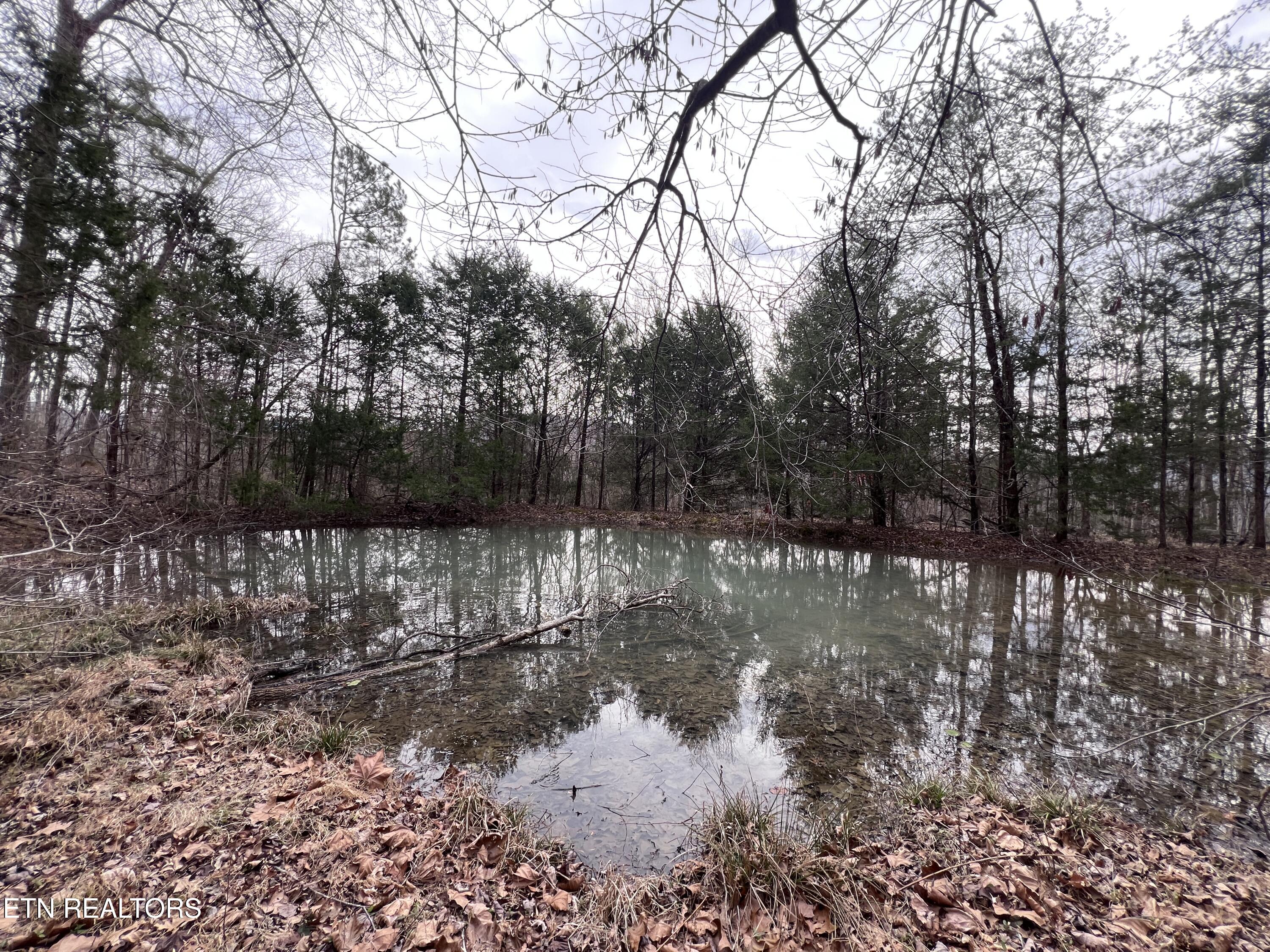 Buffalo Cove Lane Jamestown TN 38556