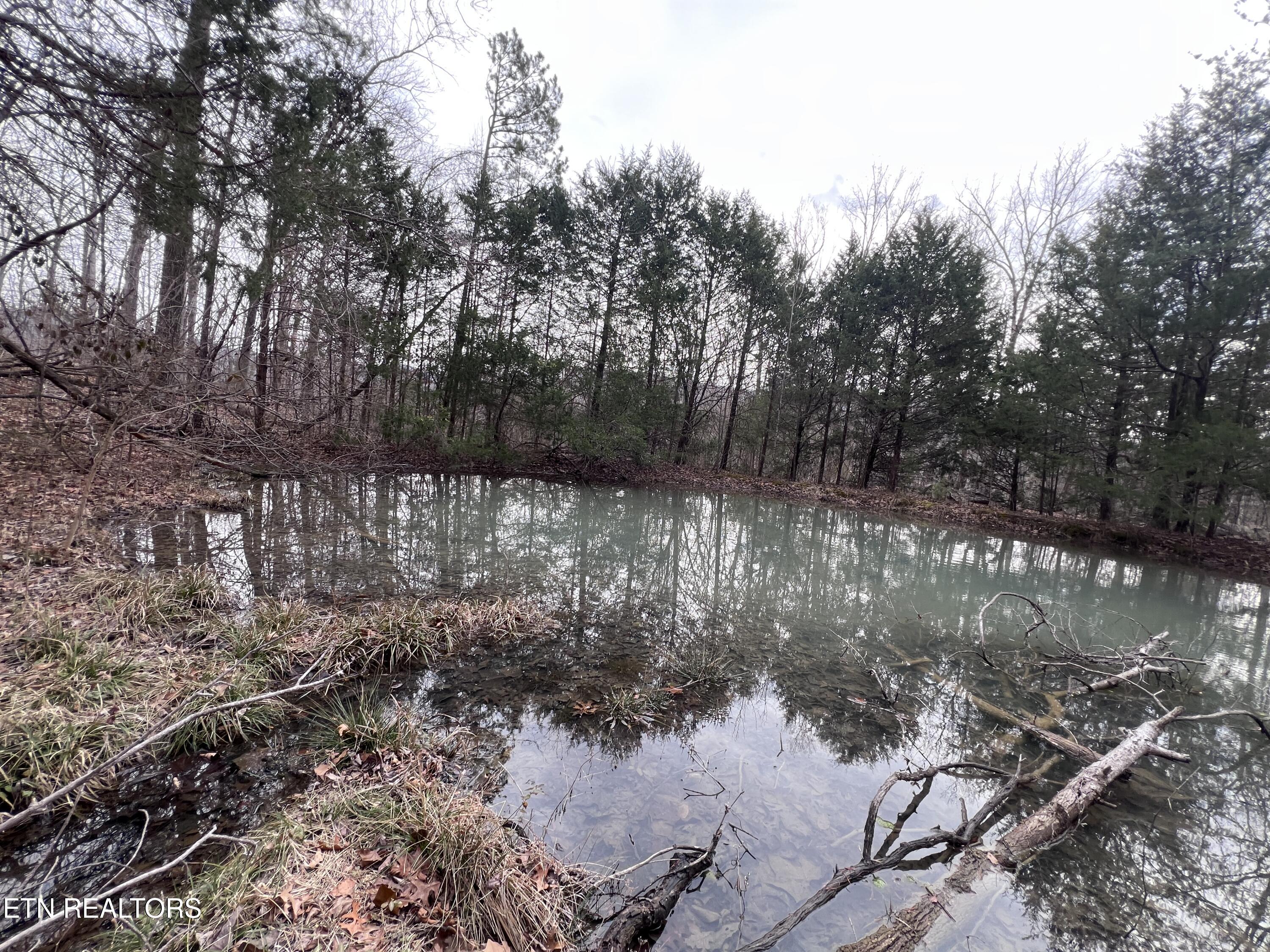 Buffalo Cove Lane Jamestown TN 38556