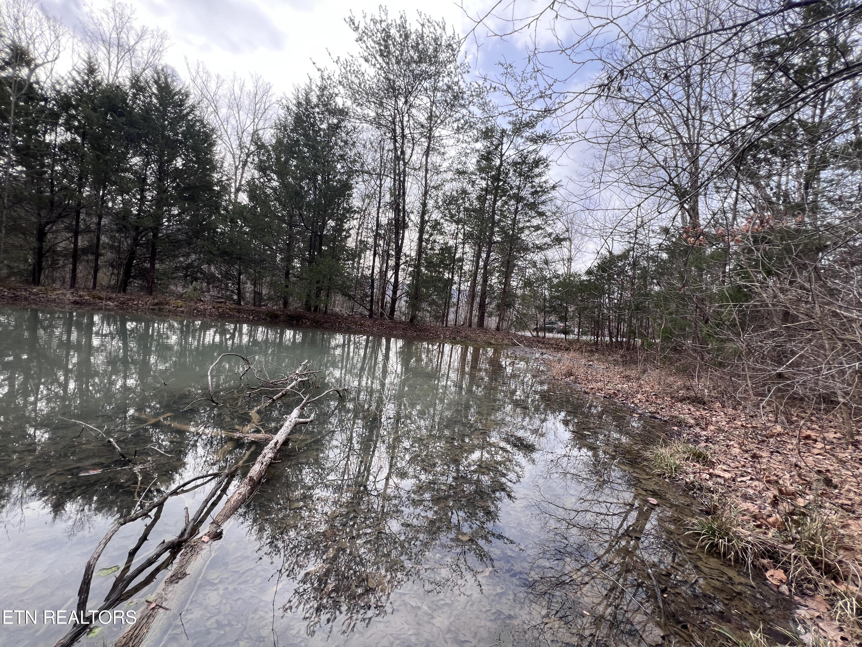 Buffalo Cove Lane Jamestown TN 38556