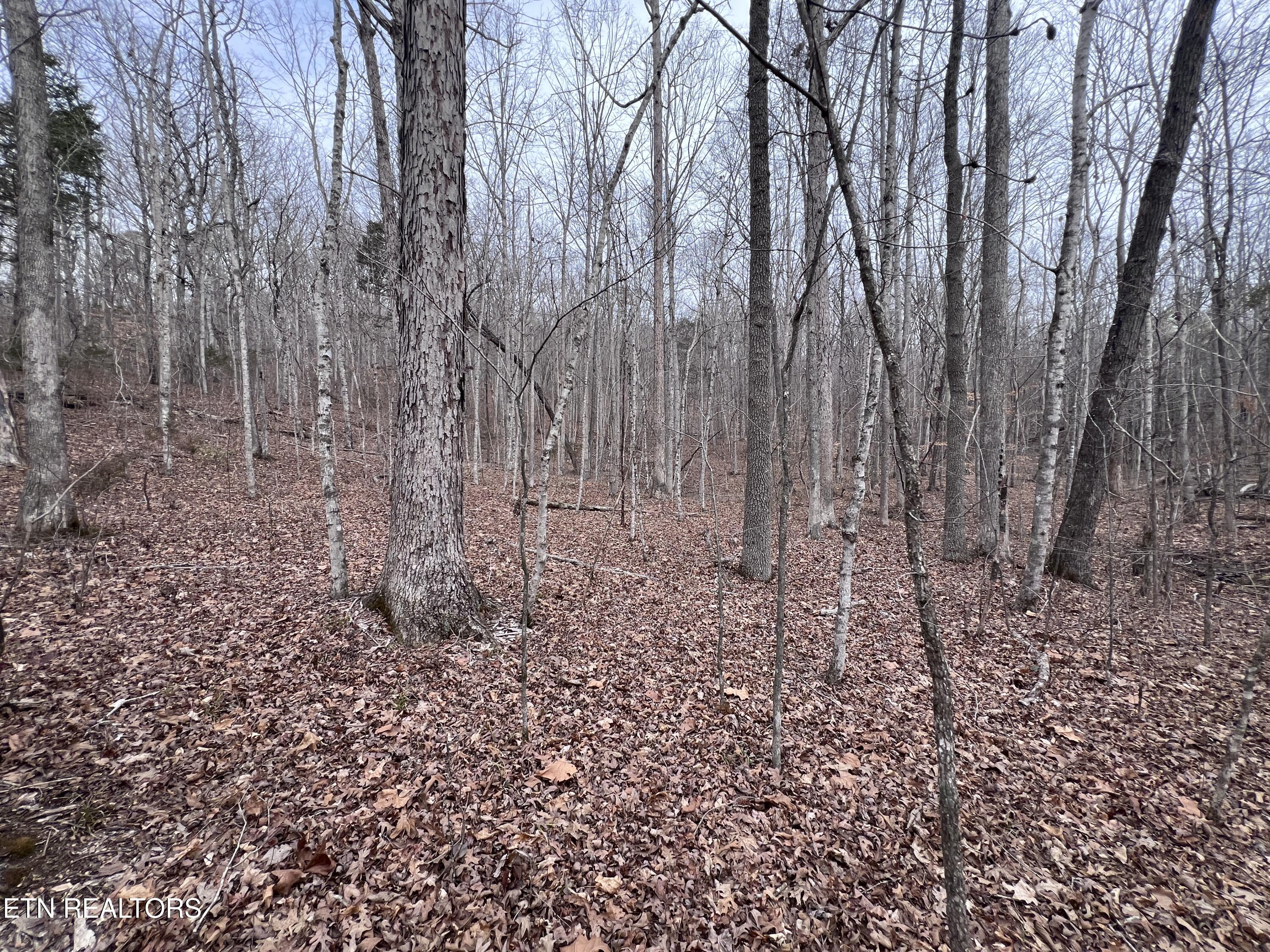 Buffalo Cove Lane Jamestown TN 38556