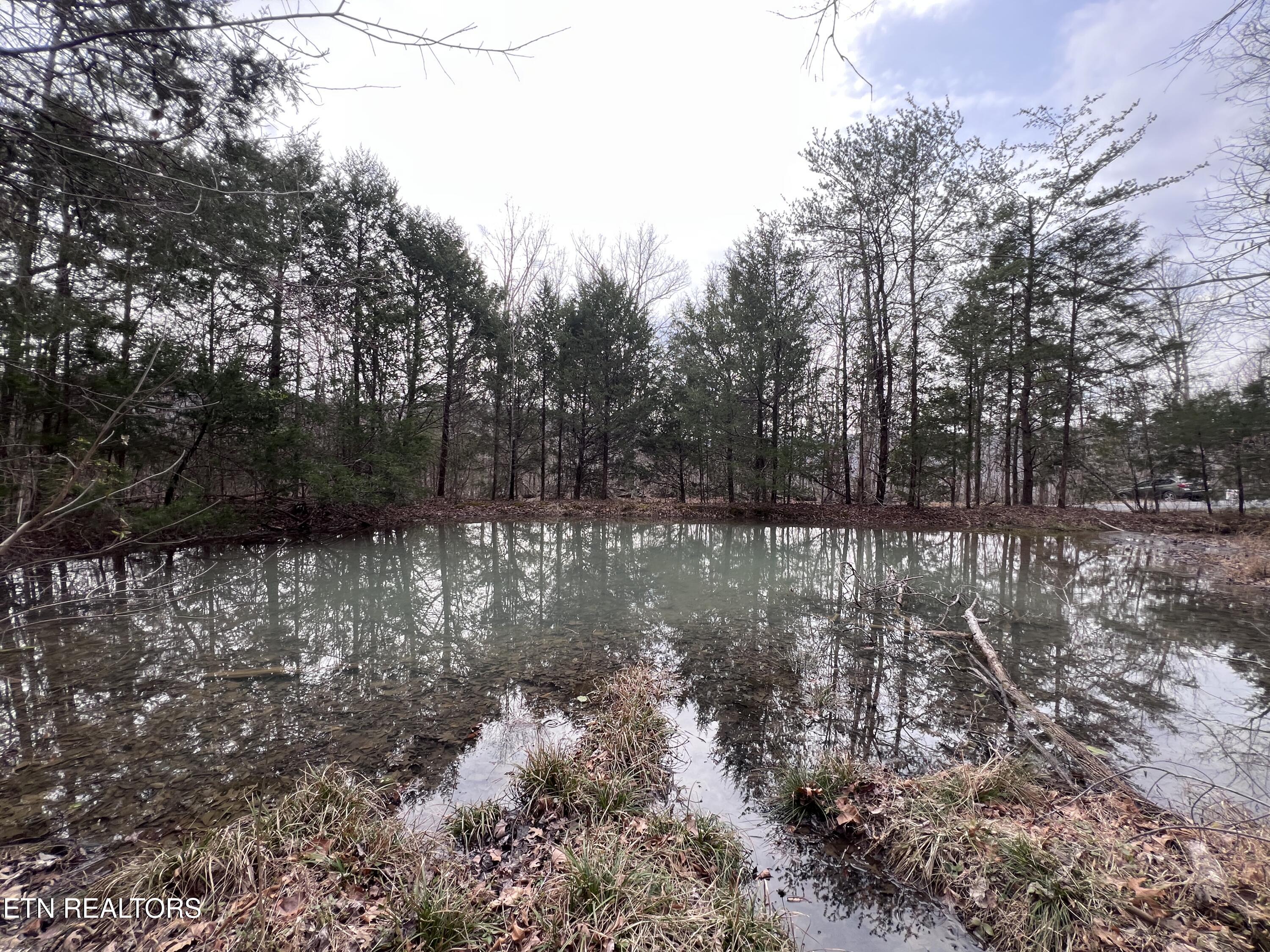 Buffalo Cove Lane Jamestown TN 38556