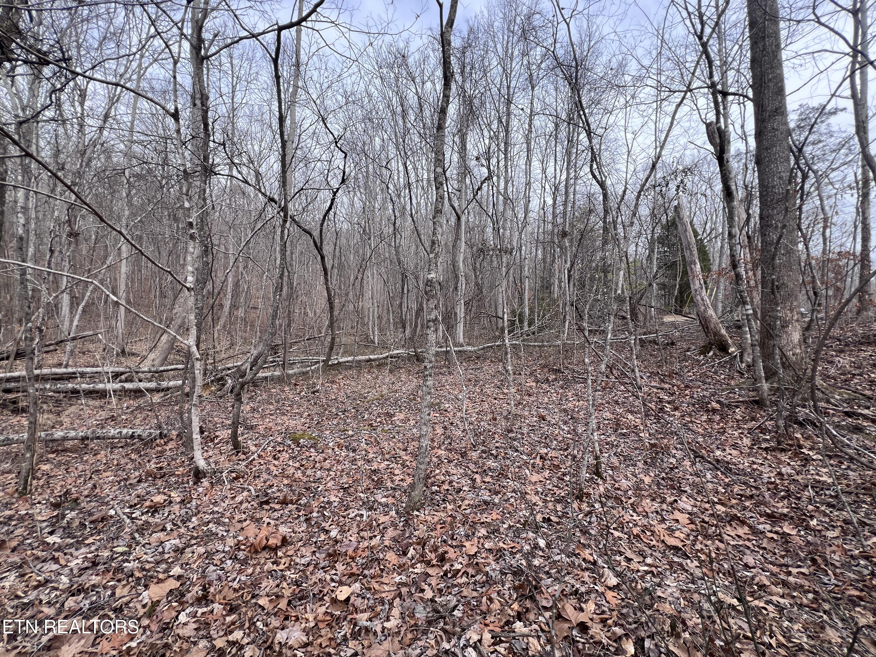 Buffalo Cove Lane Jamestown TN 38556