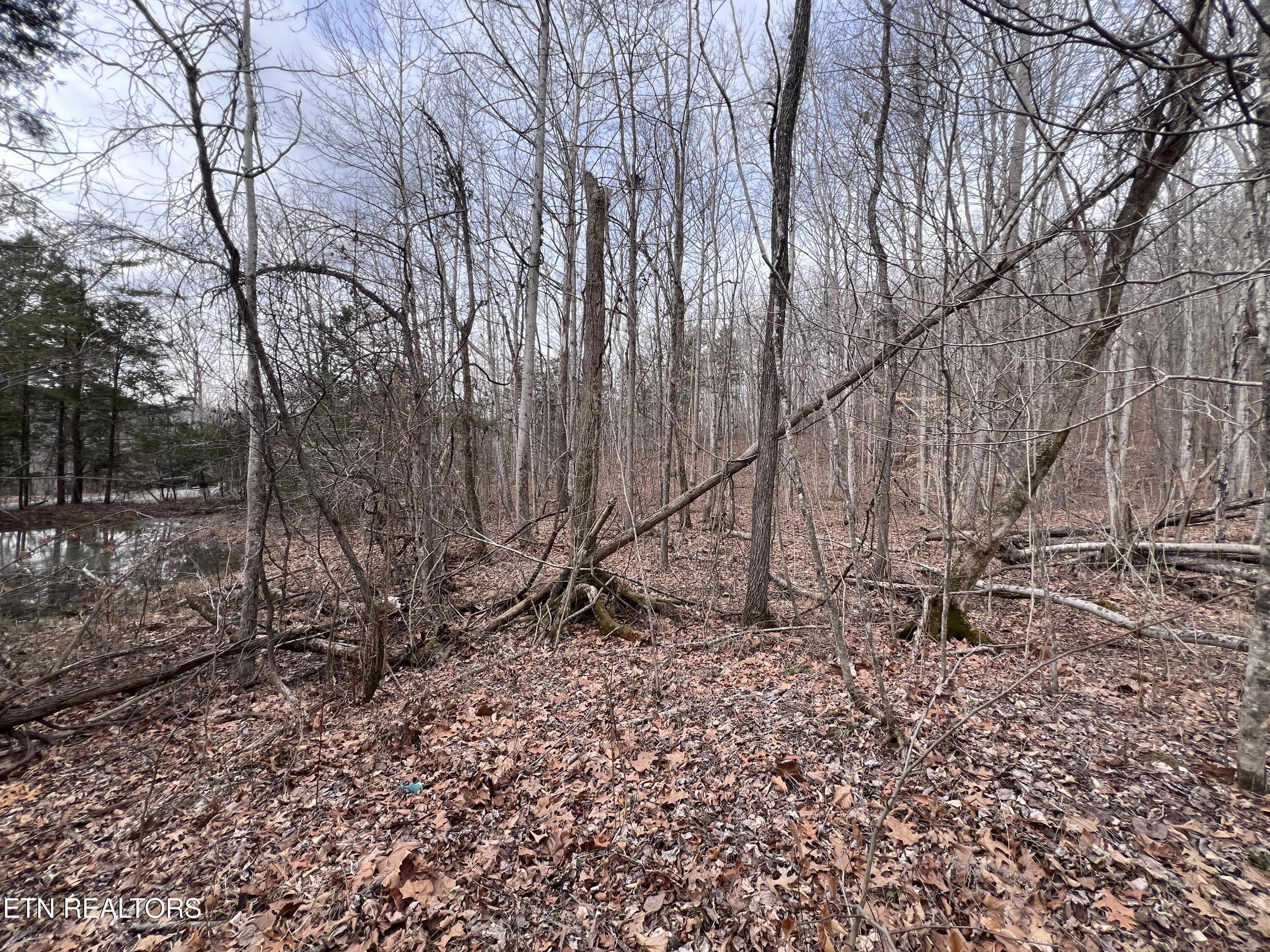 Buffalo Cove Lane Jamestown TN 38556