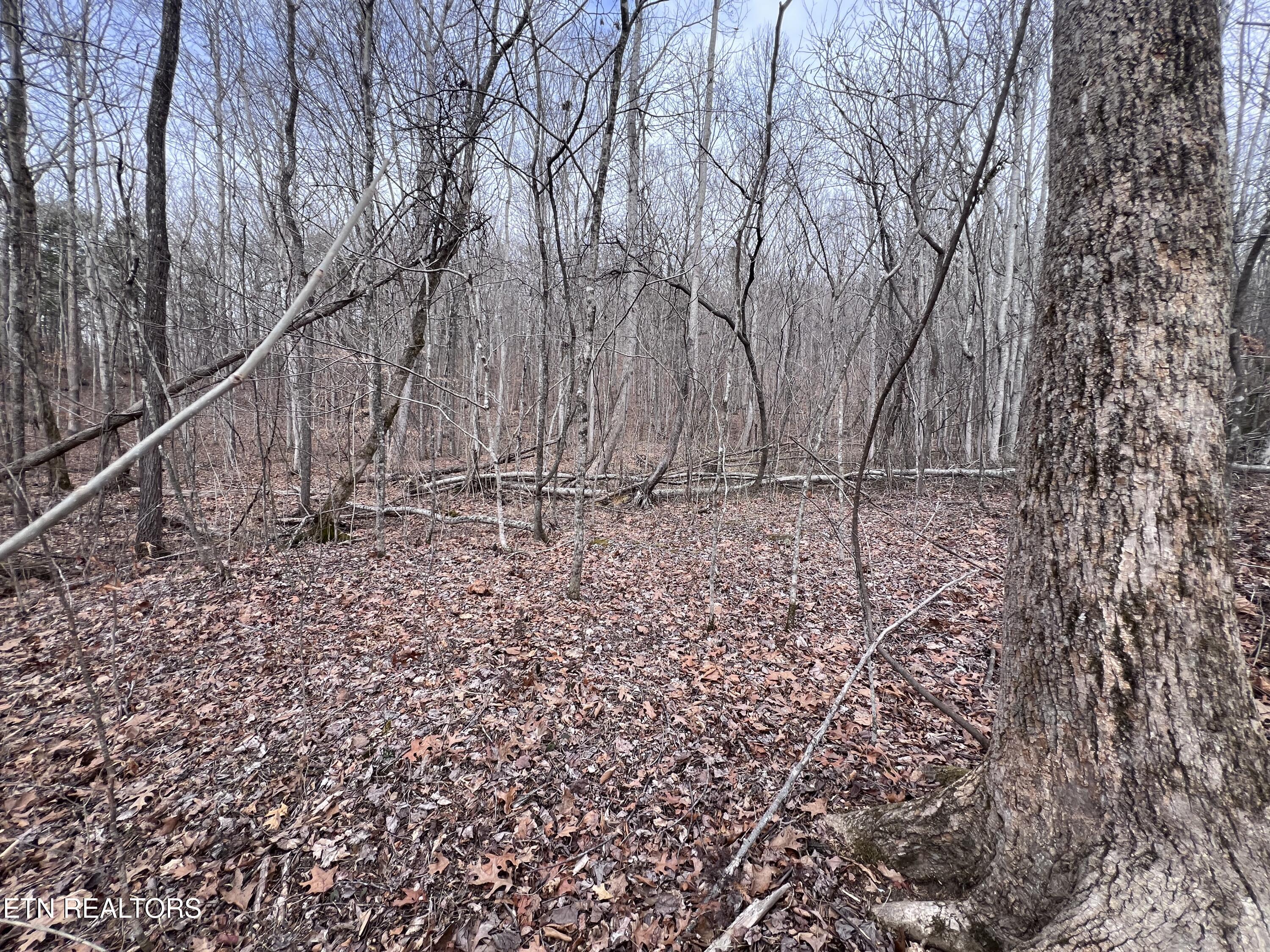Buffalo Cove Lane Jamestown TN 38556
