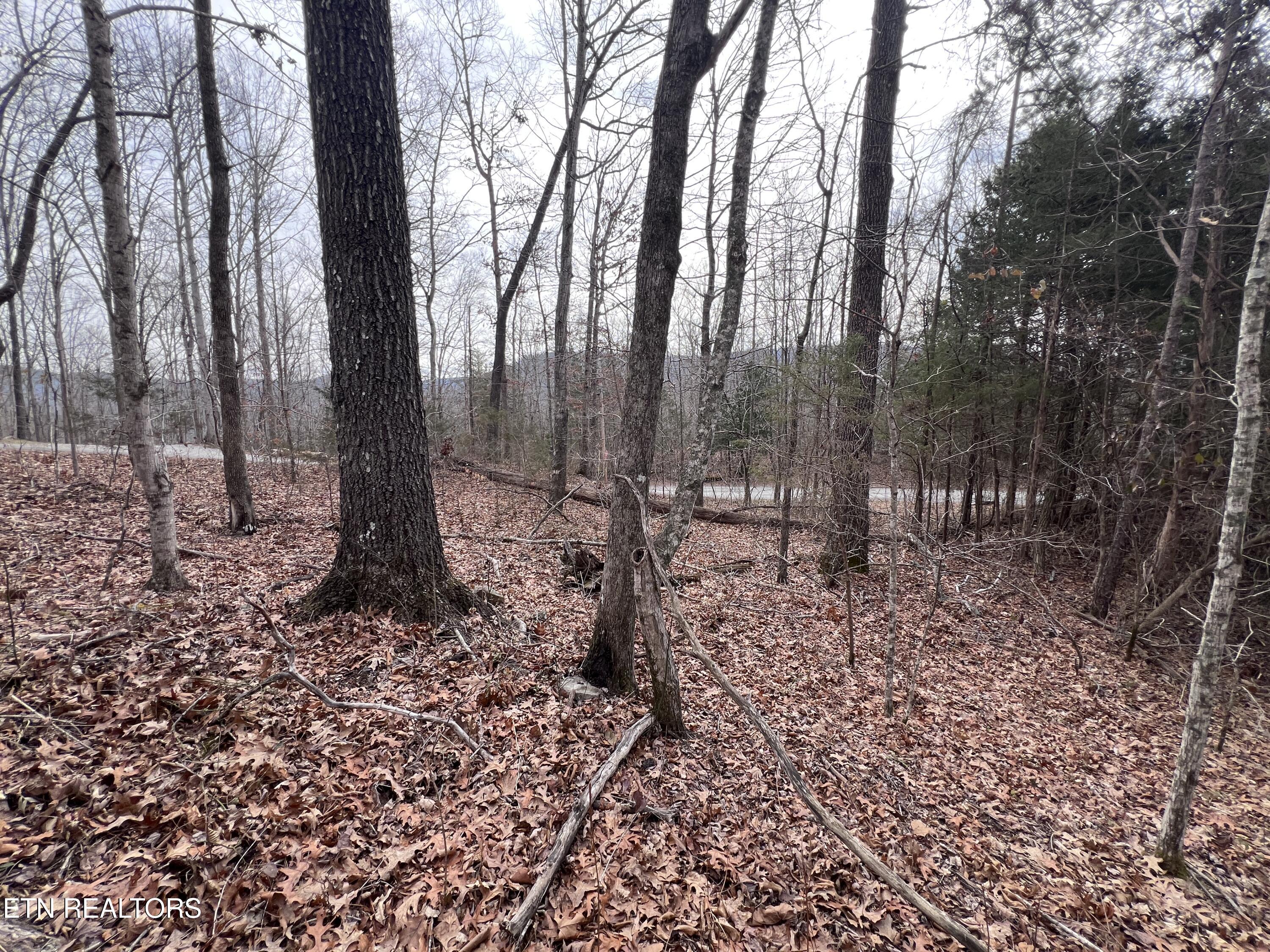 Buffalo Cove Lane Jamestown TN 38556