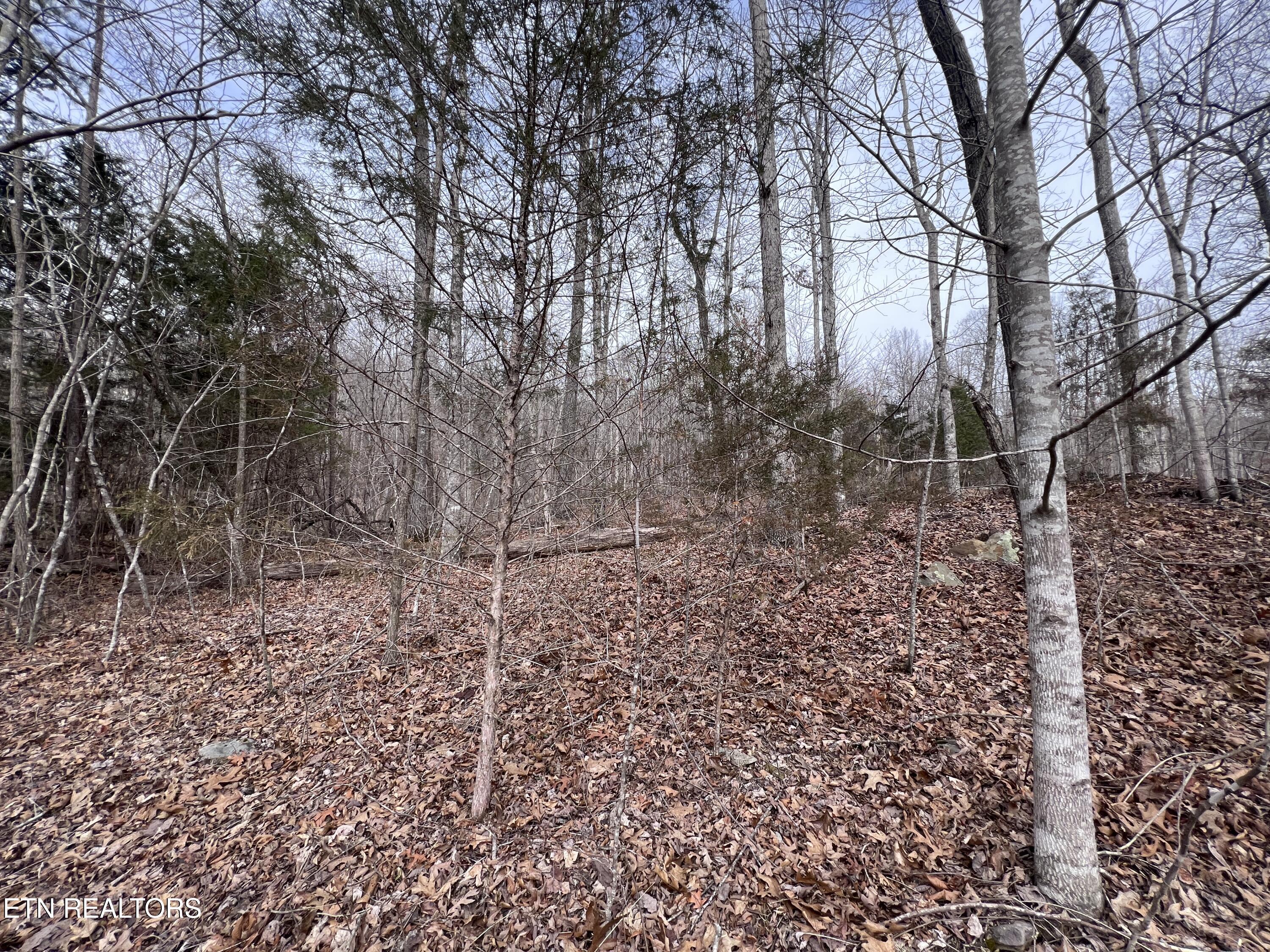 Buffalo Cove Lane Jamestown TN 38556