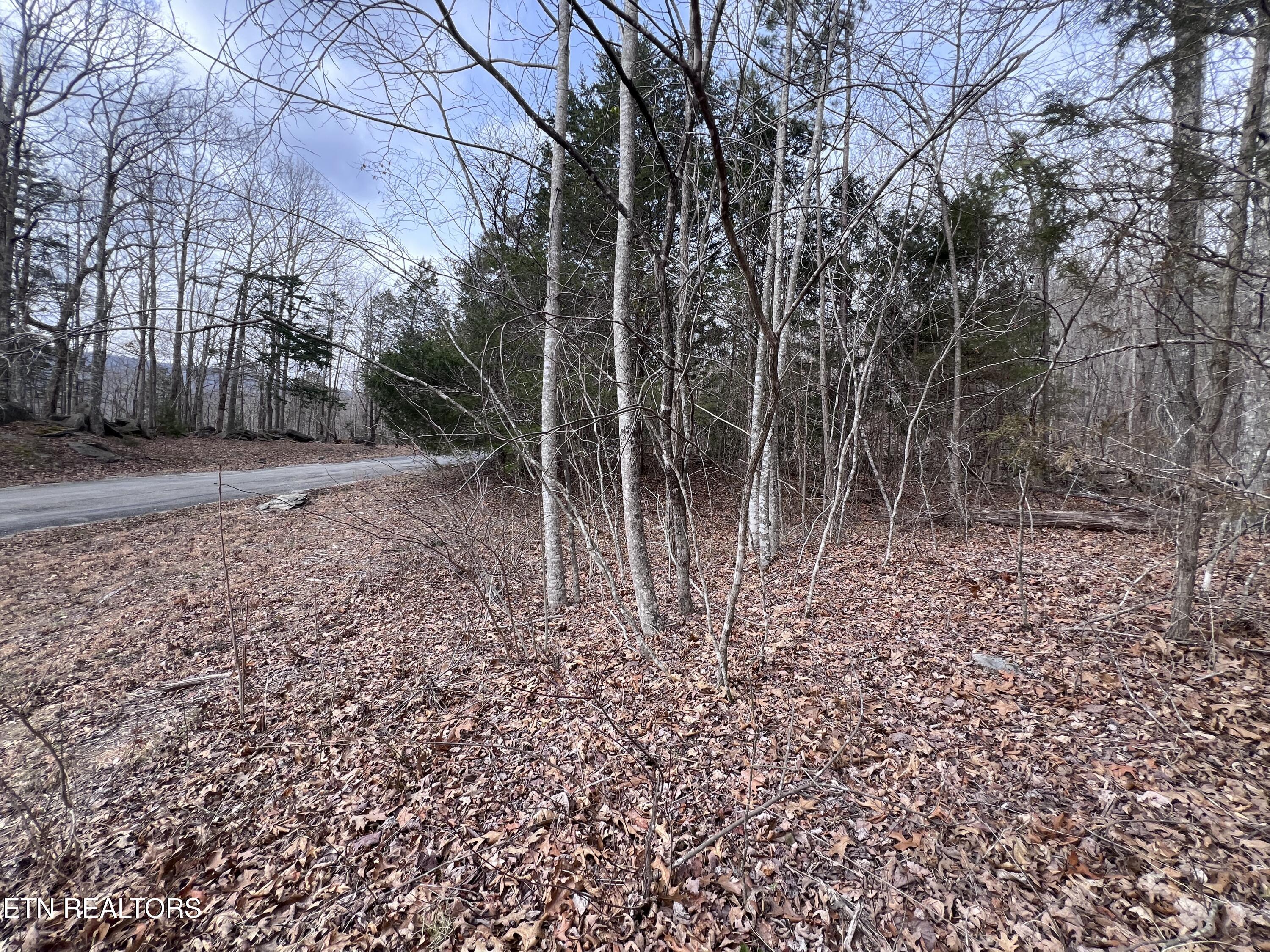 Buffalo Cove Lane Jamestown TN 38556