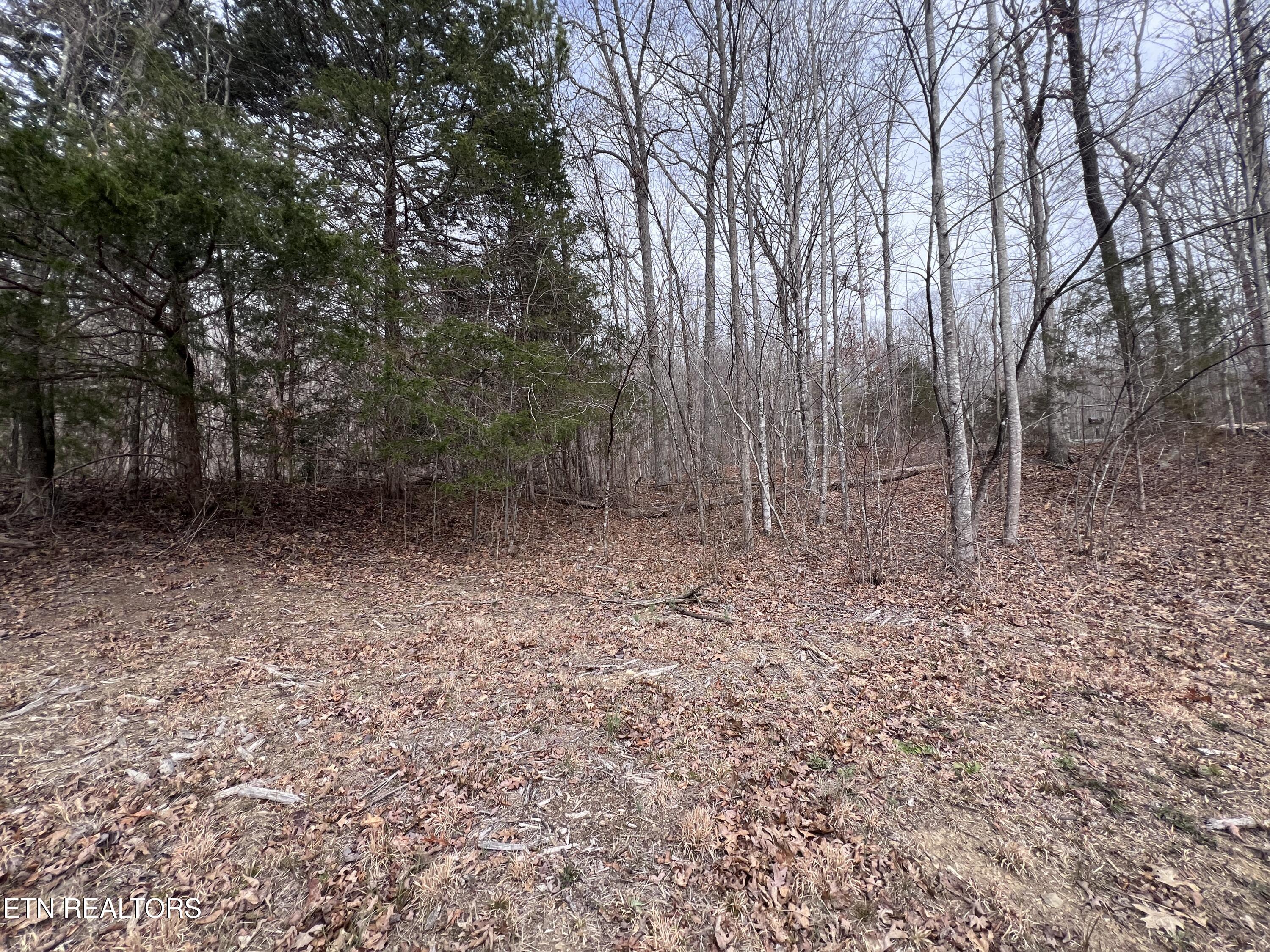 Buffalo Cove Lane Jamestown TN 38556