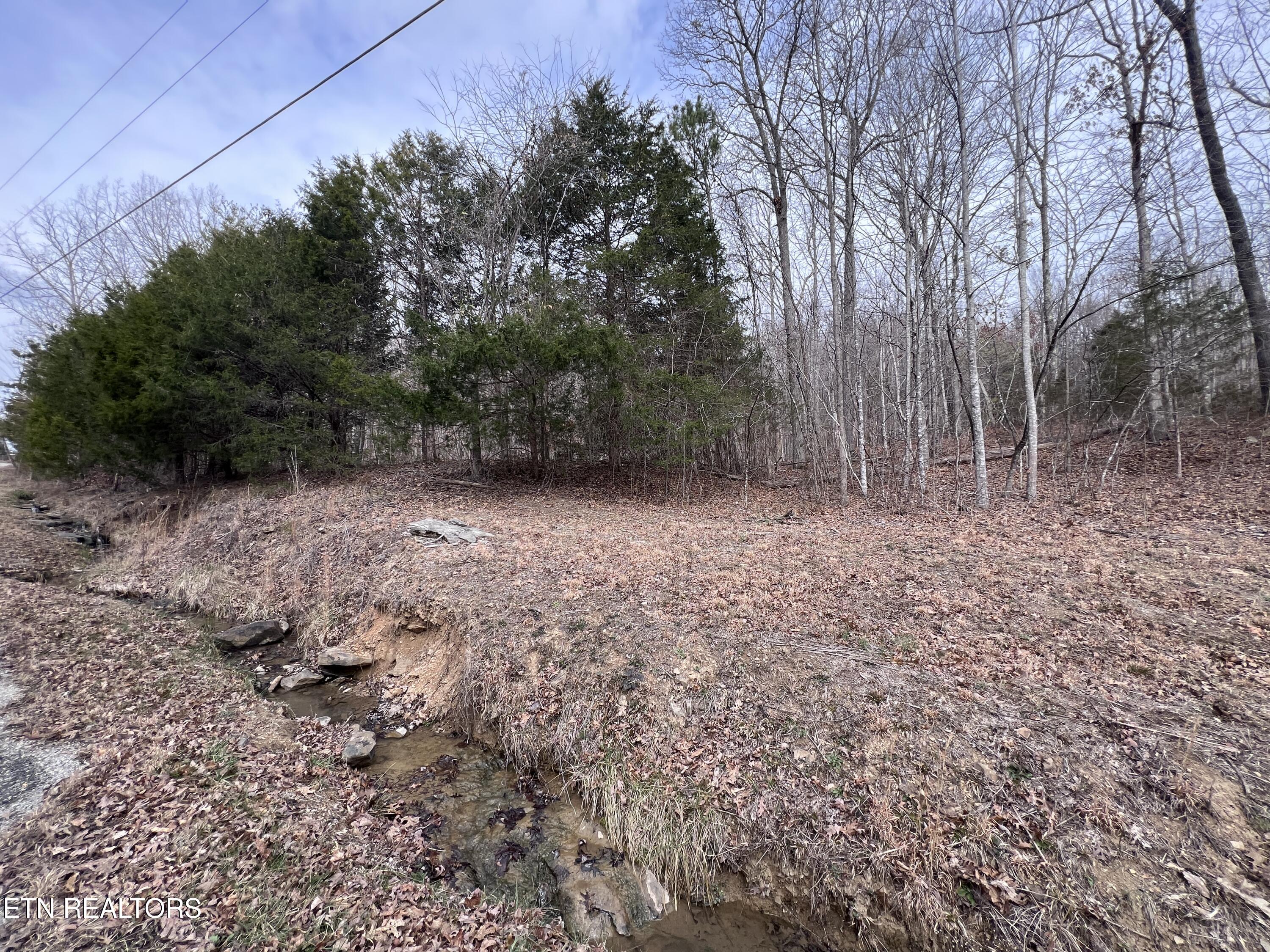 Buffalo Cove Lane Jamestown TN 38556