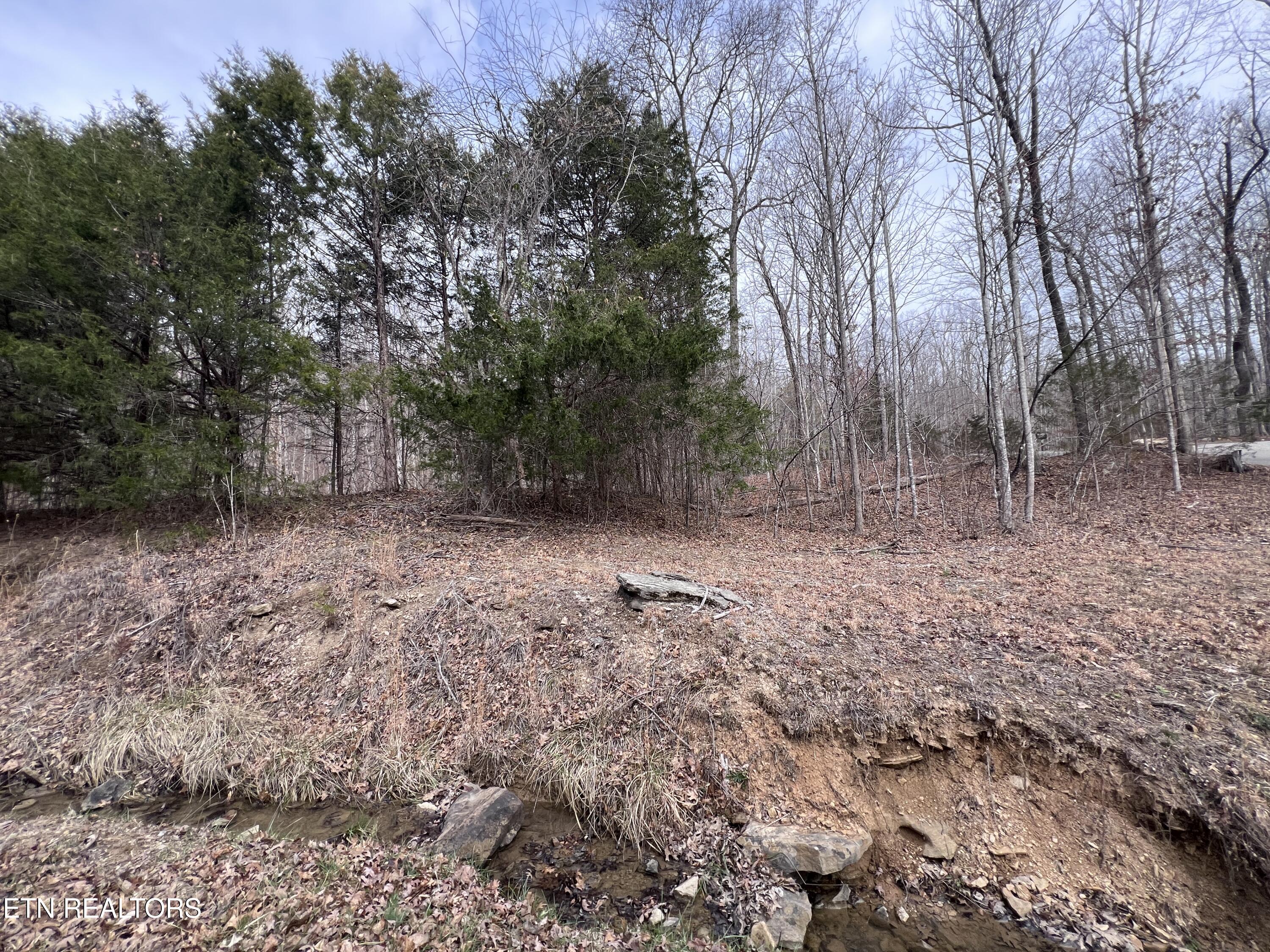 Buffalo Cove Lane Jamestown TN 38556