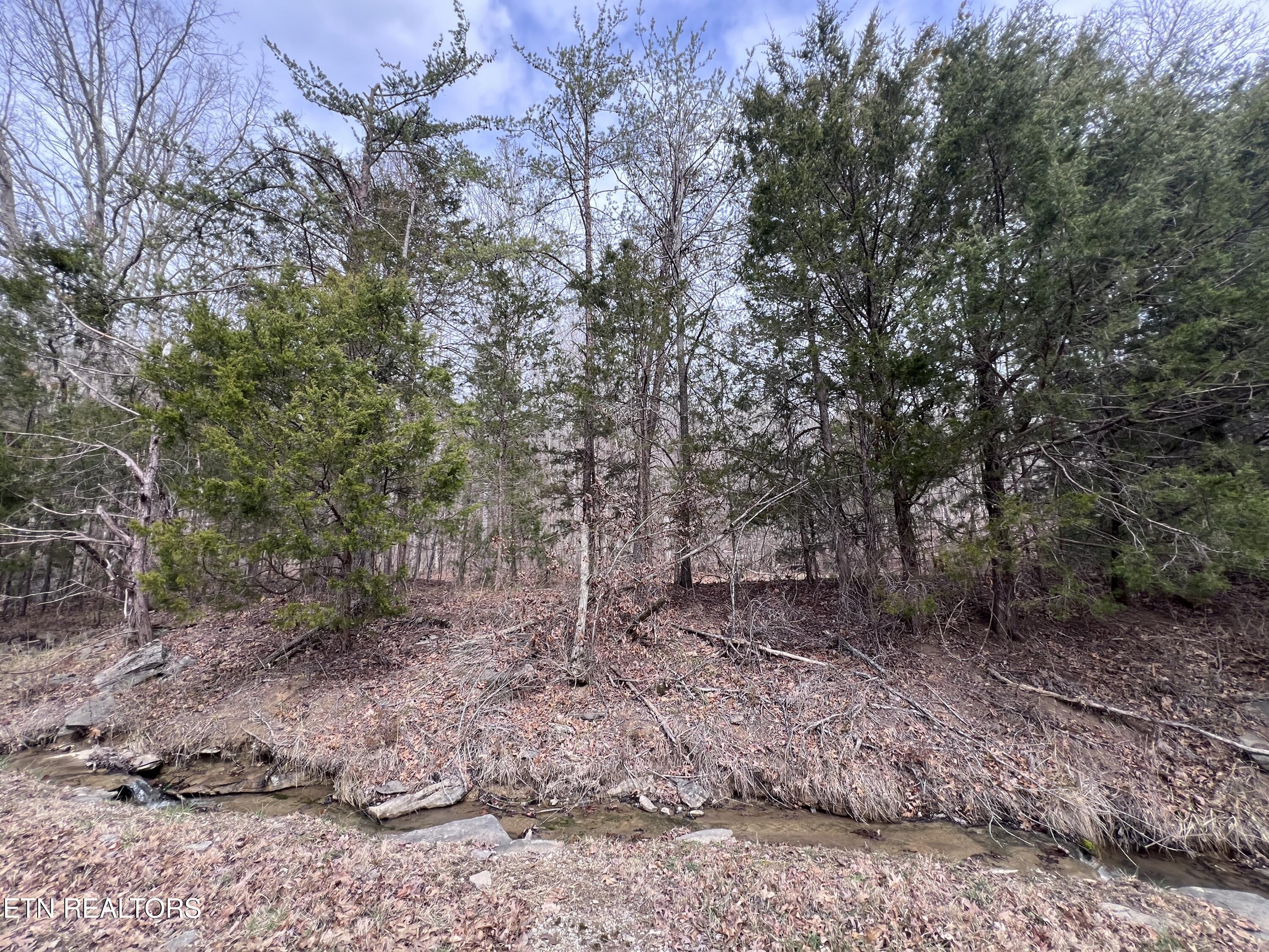 Buffalo Cove Lane Jamestown TN 38556
