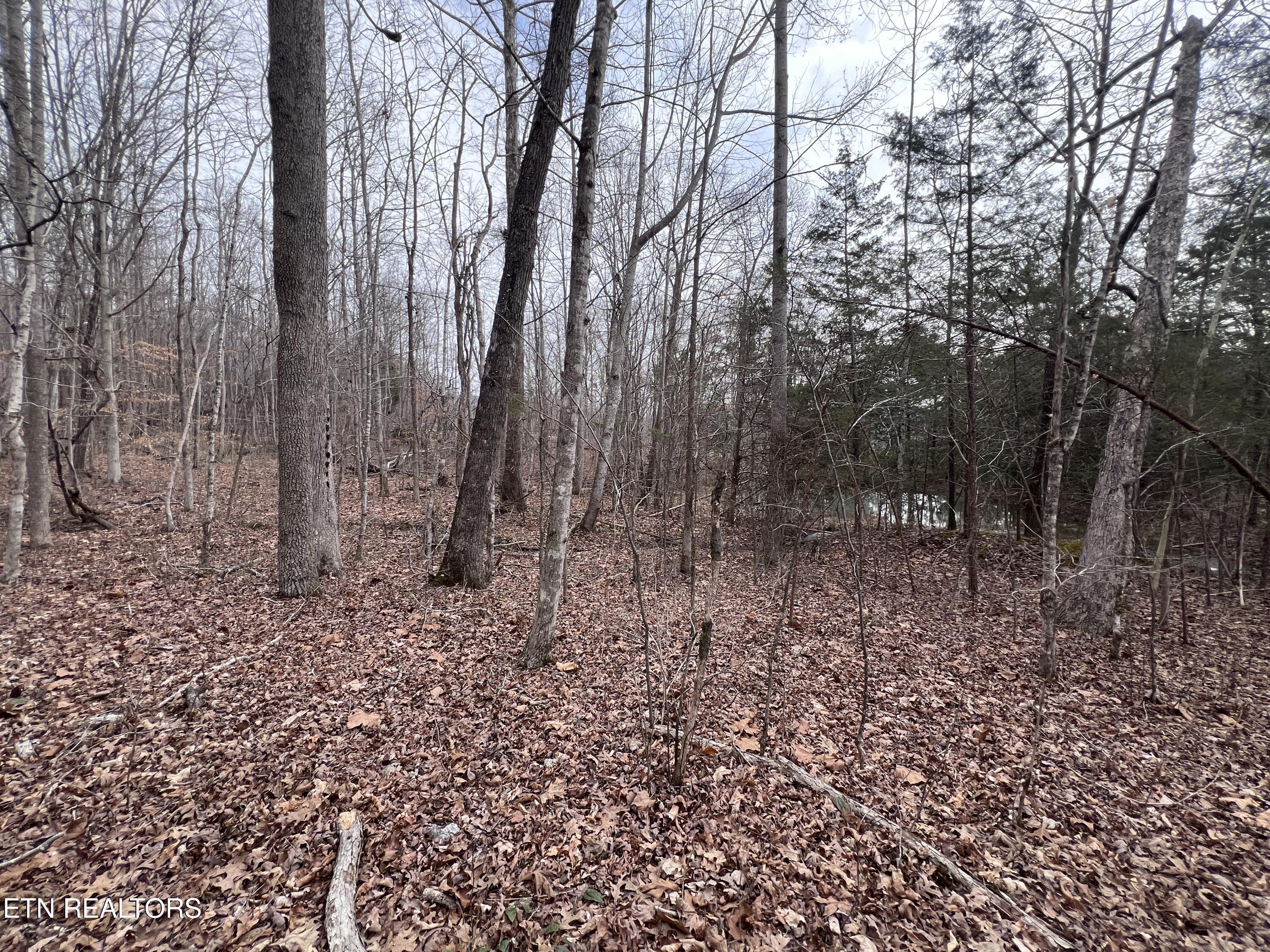 Buffalo Cove Lane Jamestown TN 38556