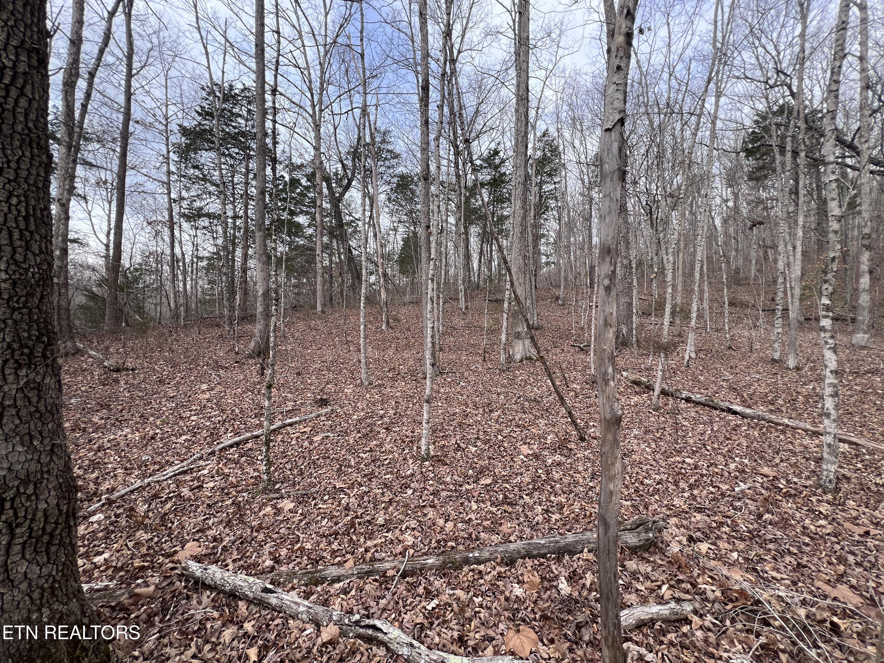 Buffalo Cove Lane Jamestown TN 38556