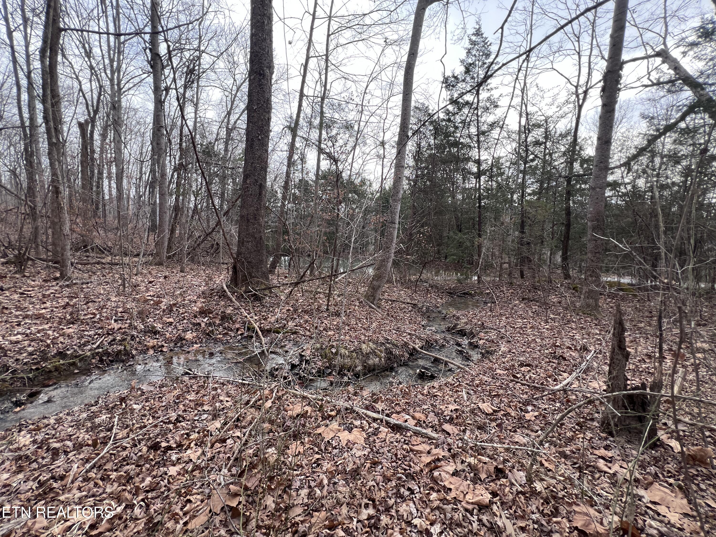 Buffalo Cove Lane Jamestown TN 38556