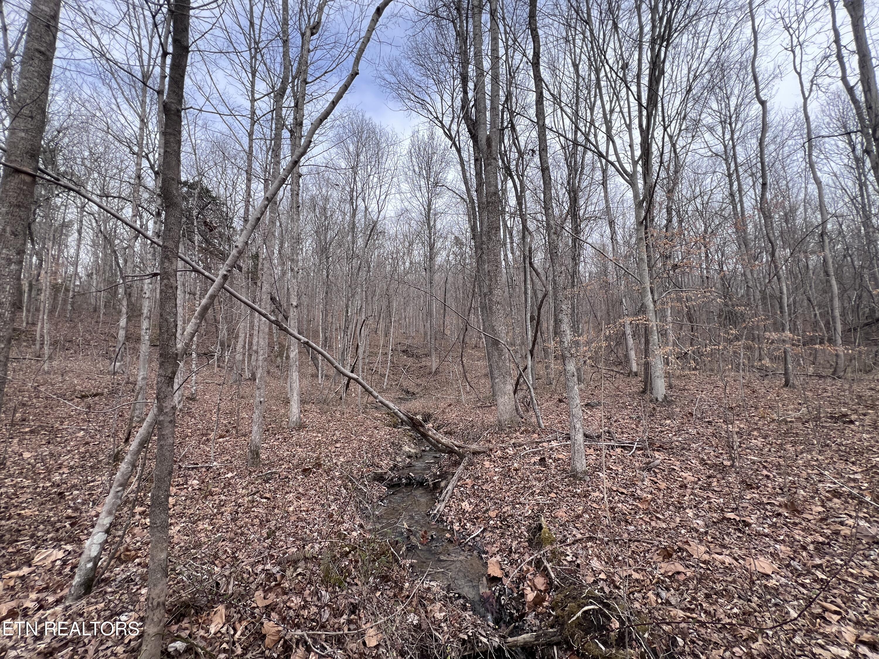 Buffalo Cove Lane Jamestown TN 38556