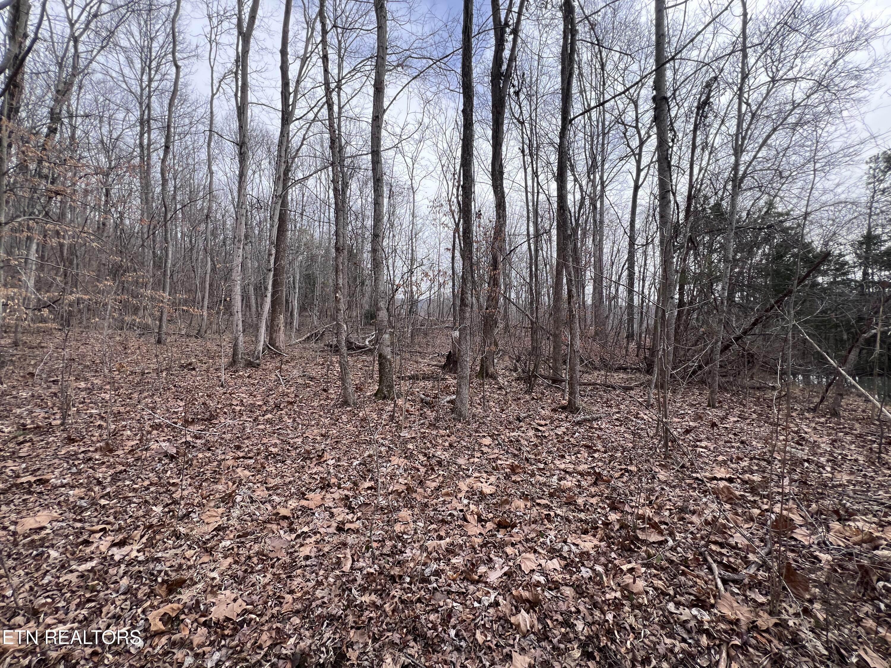 Buffalo Cove Lane Jamestown TN 38556