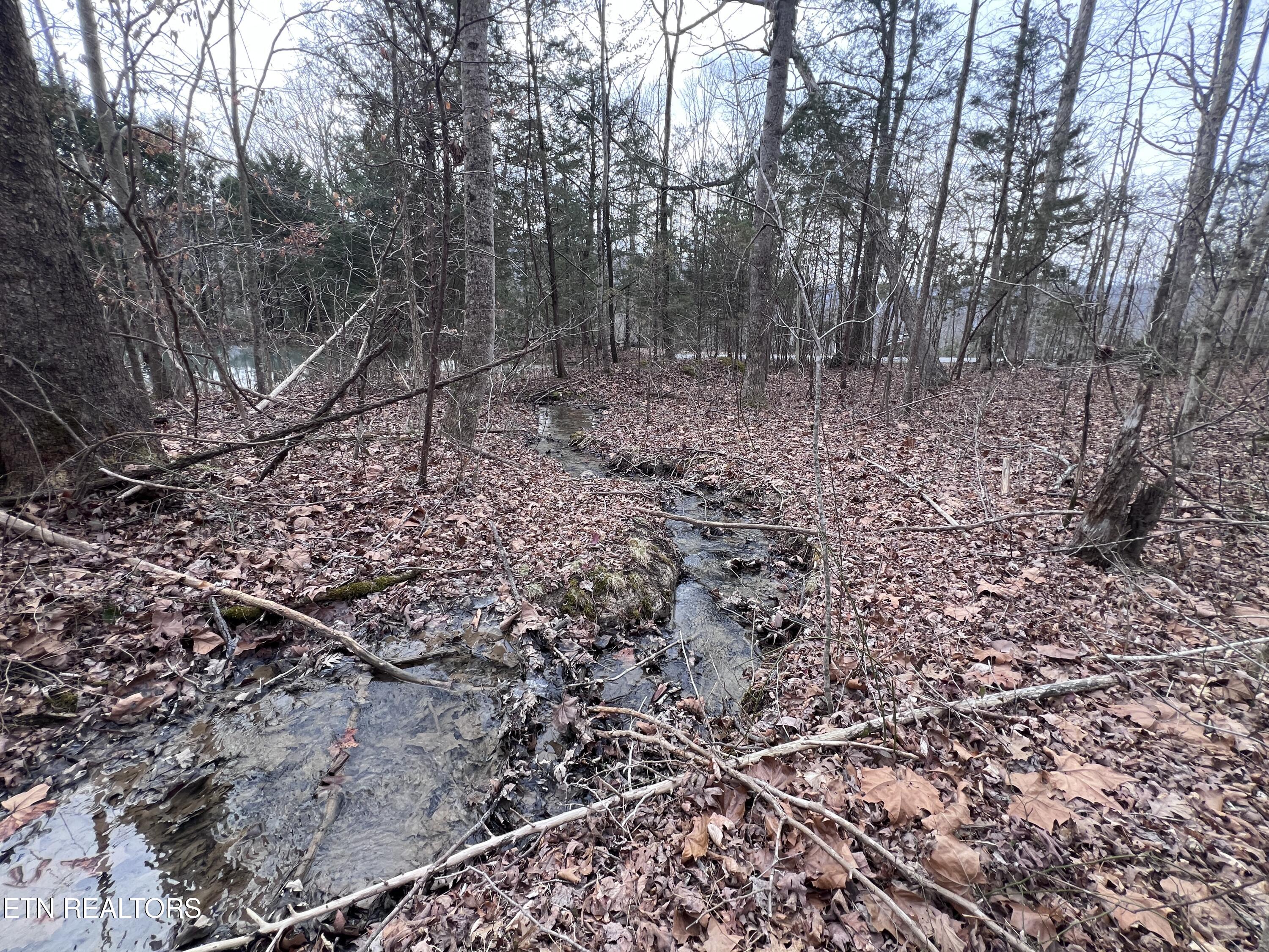 Buffalo Cove Lane Jamestown TN 38556