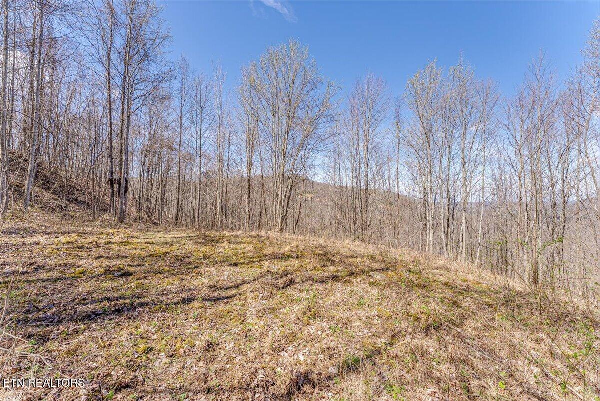 422 Crooked Branch Road Huntsville TN 37756