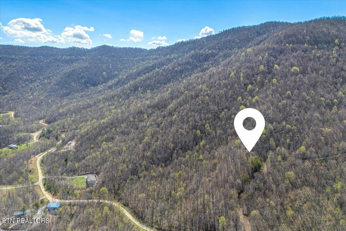 422 Crooked Branch Road Huntsville TN 37756